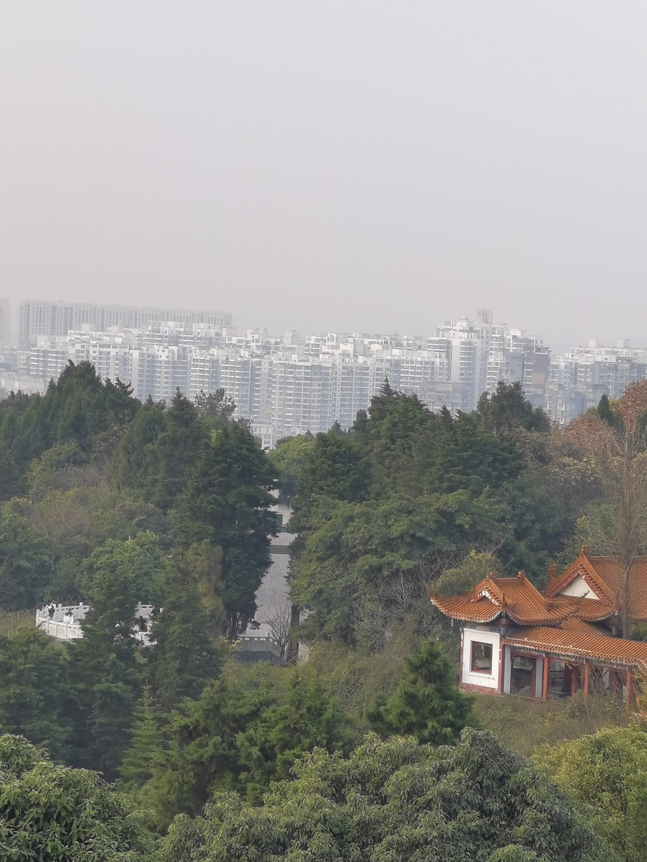中华科学家公园旅行图片 3