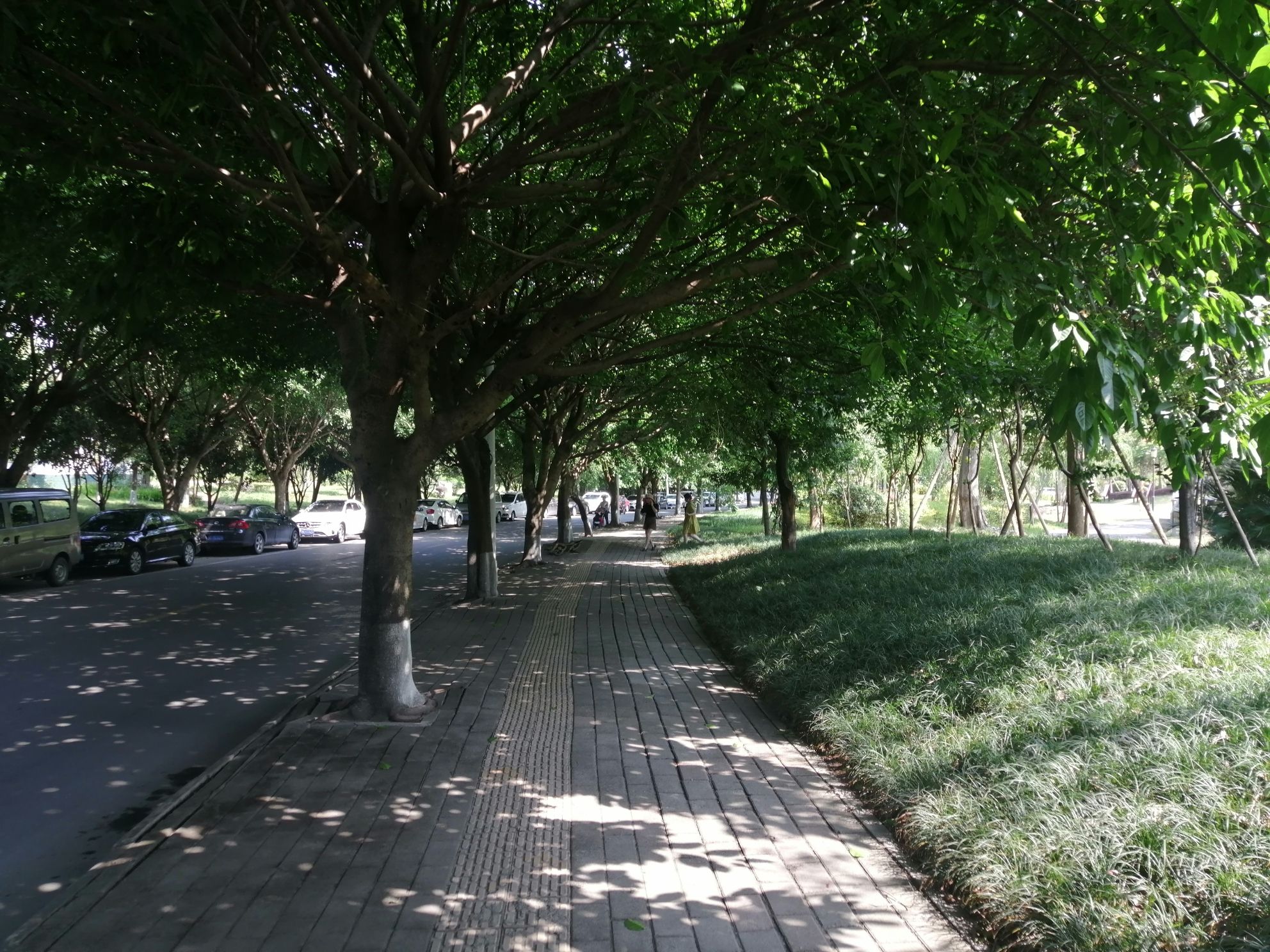 湿地公园旅行图片 2