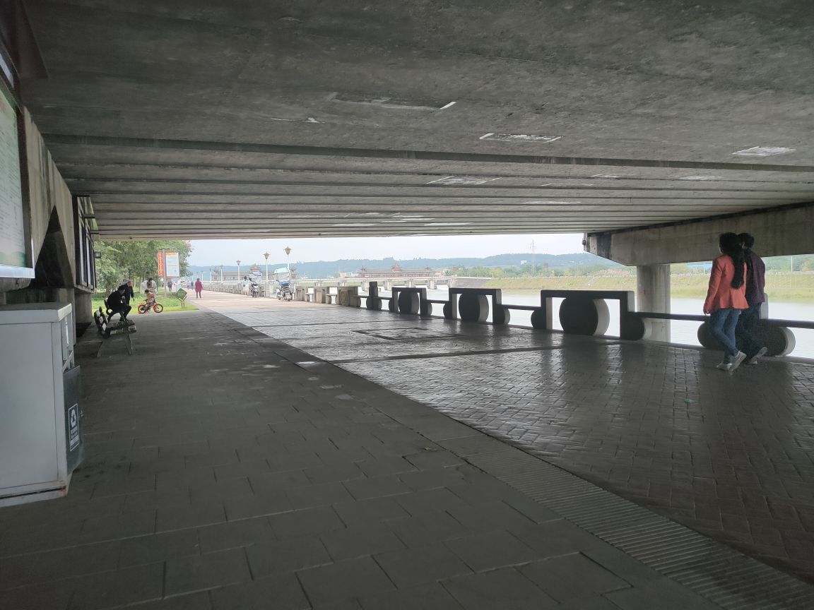 湿地公园旅行图片 2