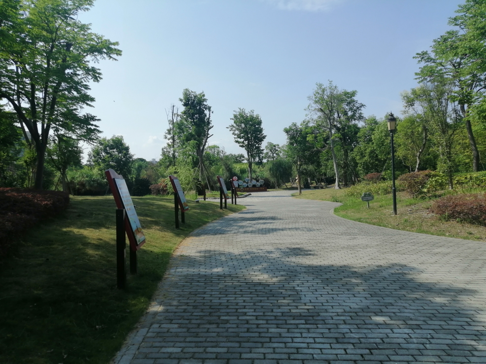 湿地公园旅行图片 3