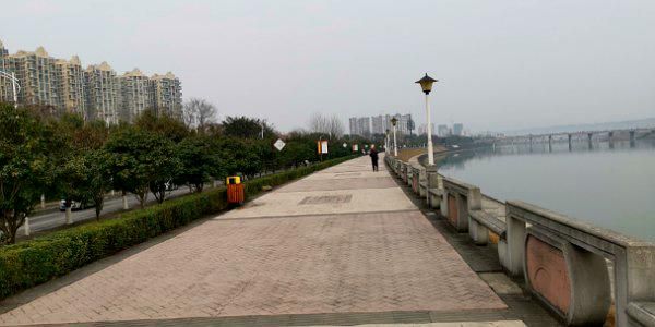 湿地公园旅行图片 3