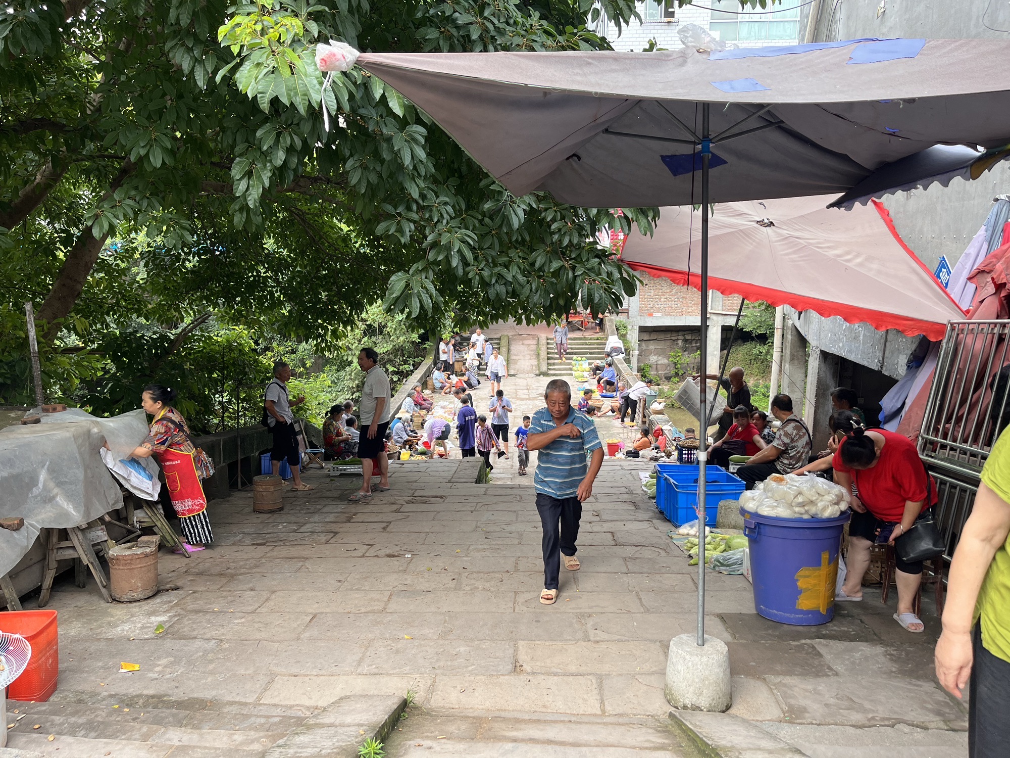 郪江古镇旅行图片 3
