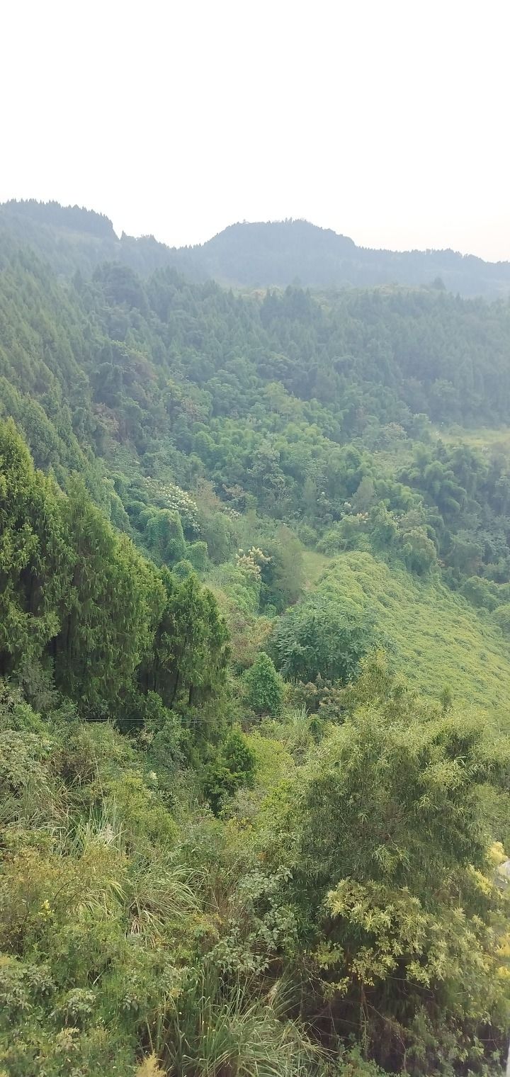 嫘祖故里景区旅行图片 2