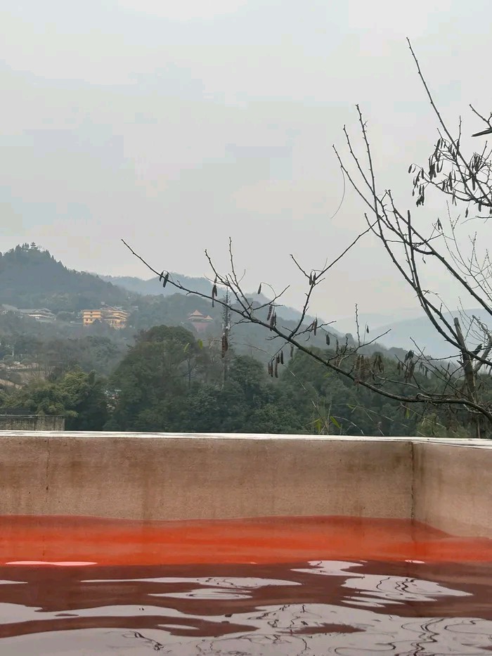 罗浮山温泉度假区旅行图片 2