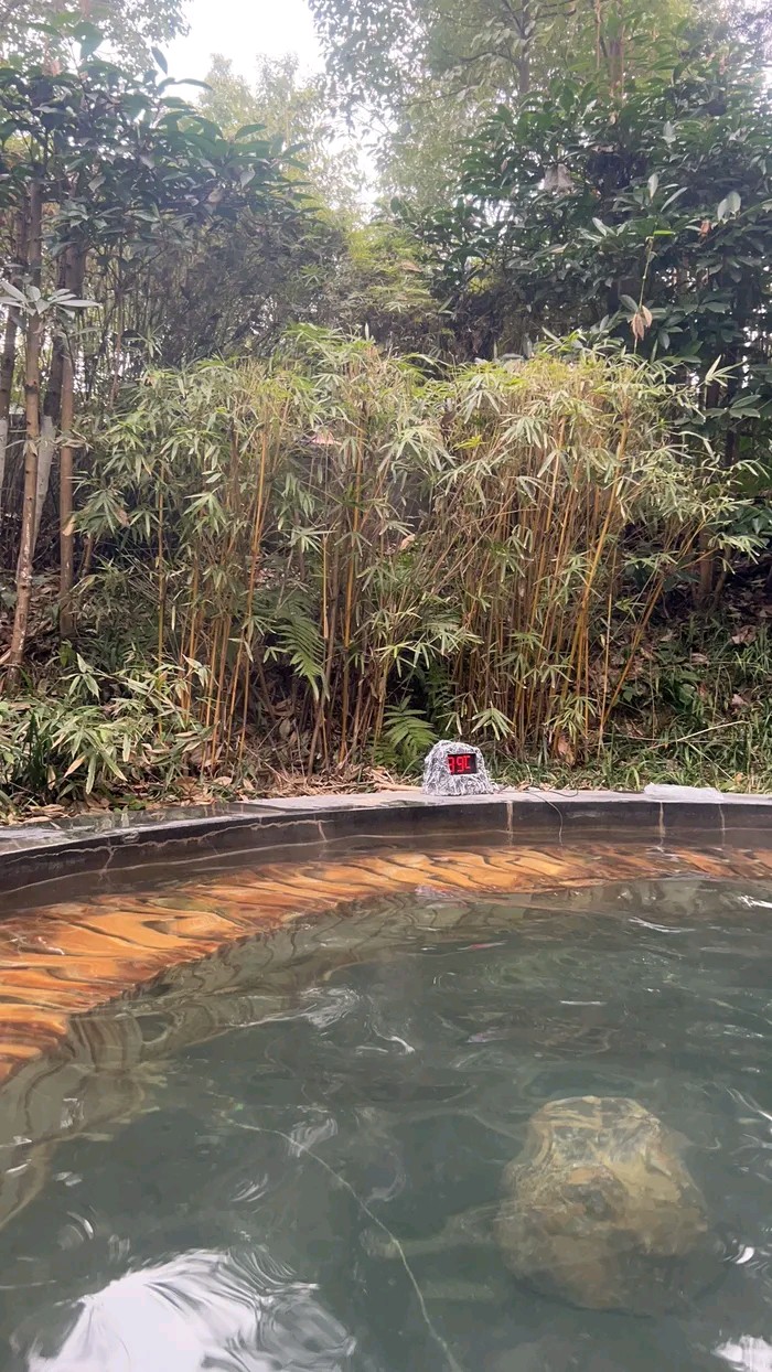 罗浮山温泉度假区旅行图片 3