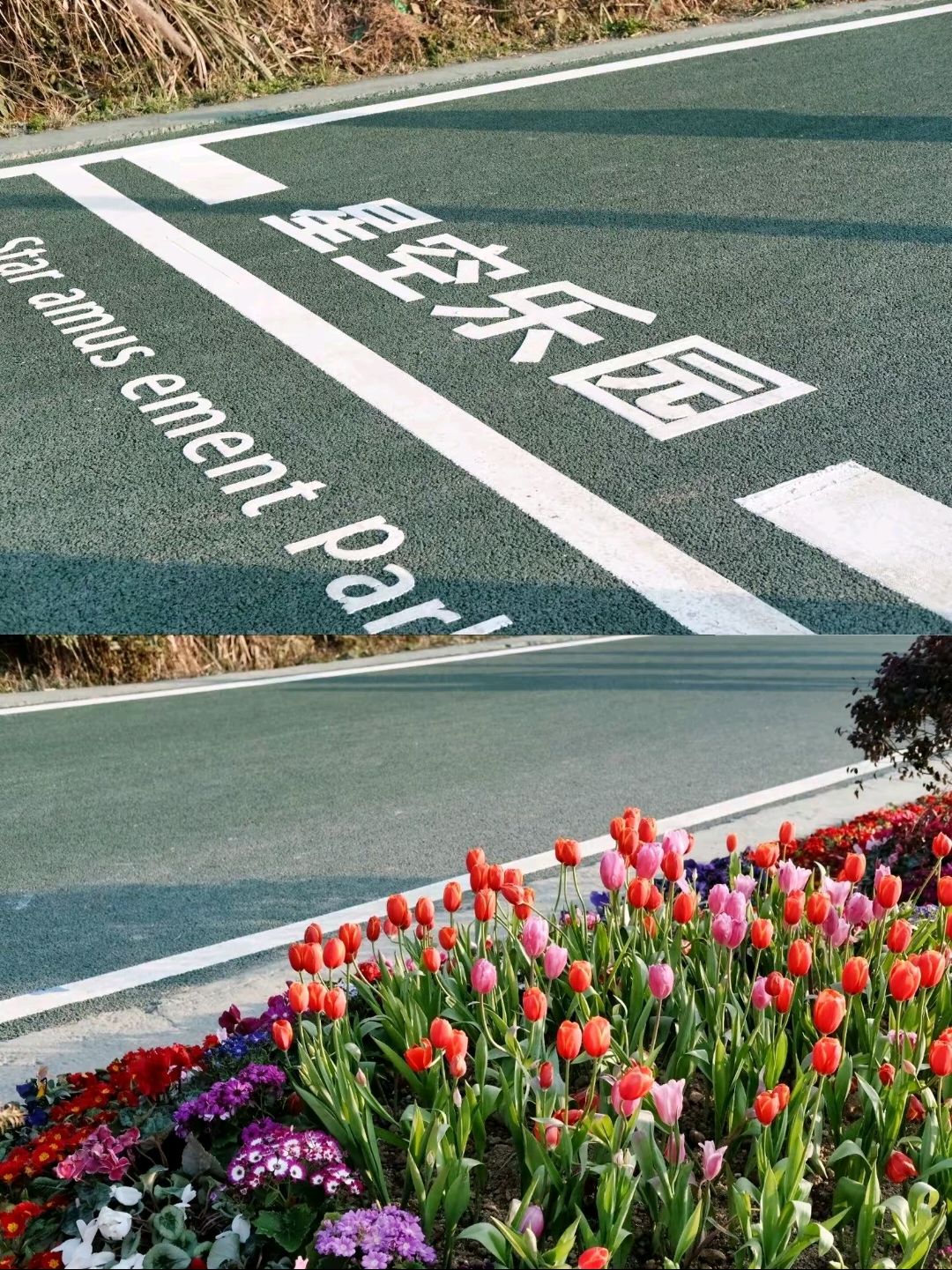 气象公园旅行图片 2