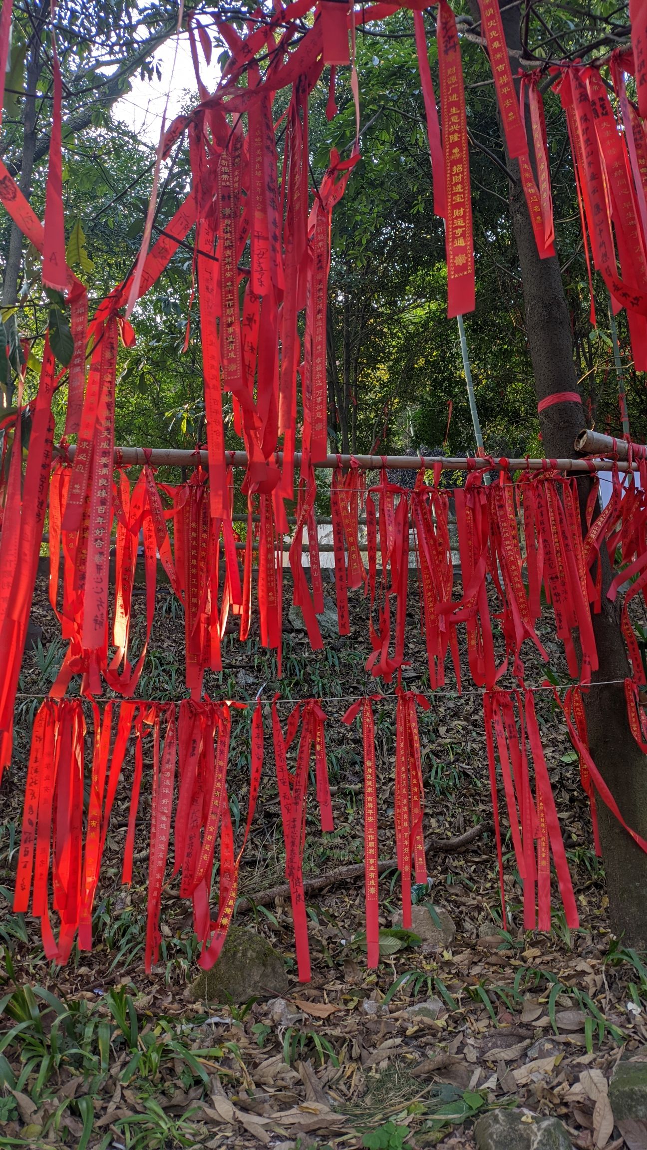 西山风景区旅行图片 2