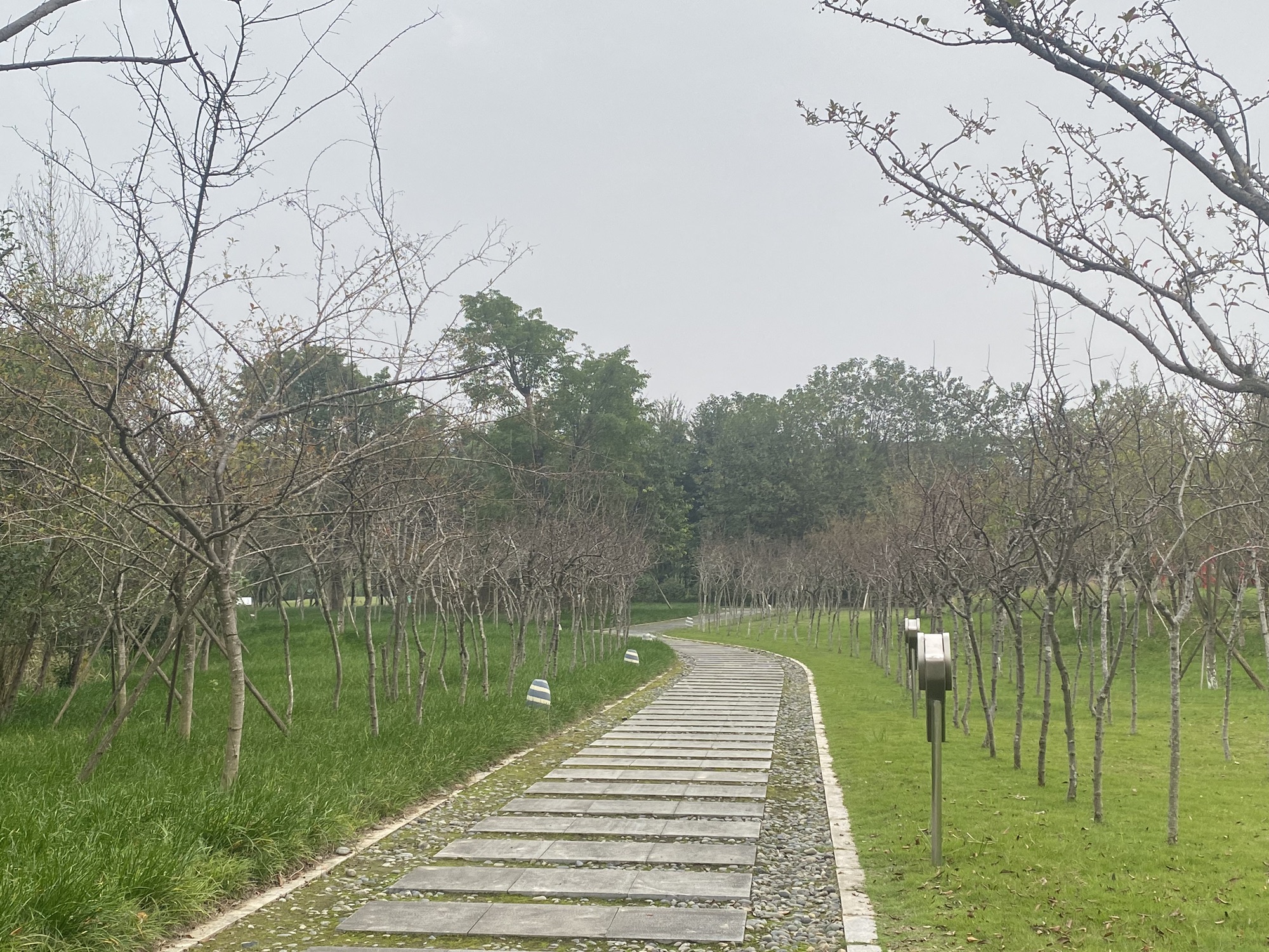 上中坝生态景区旅行图片 1