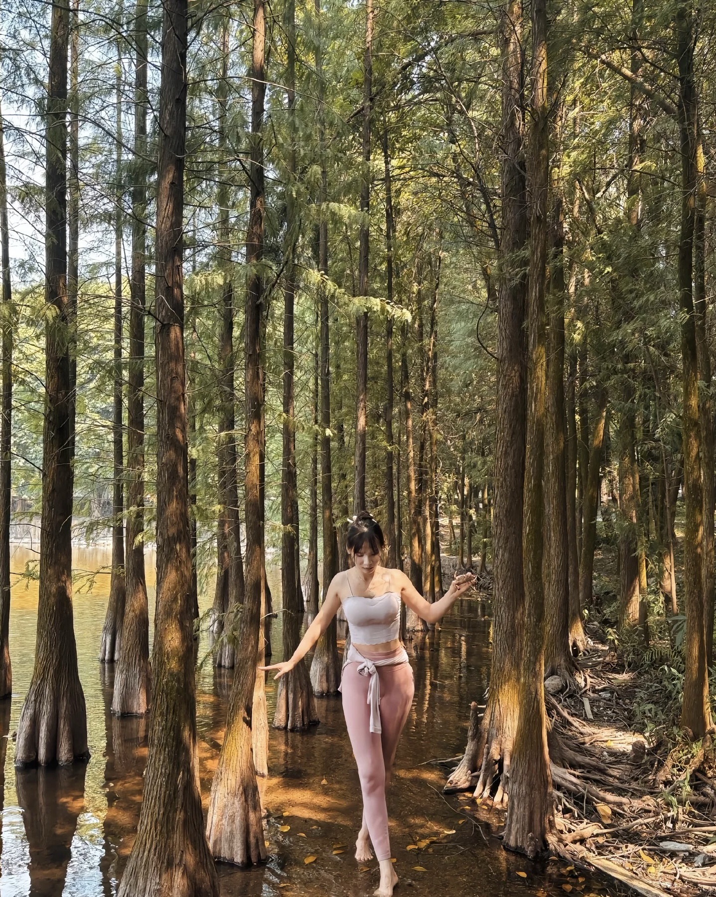 望龙湖森林公园旅行图片 1