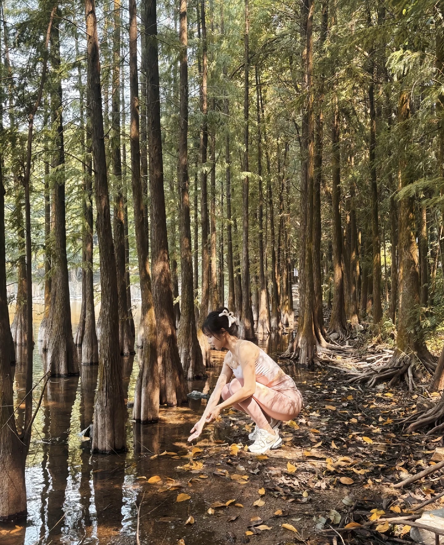 望龙湖森林公园旅行图片 2