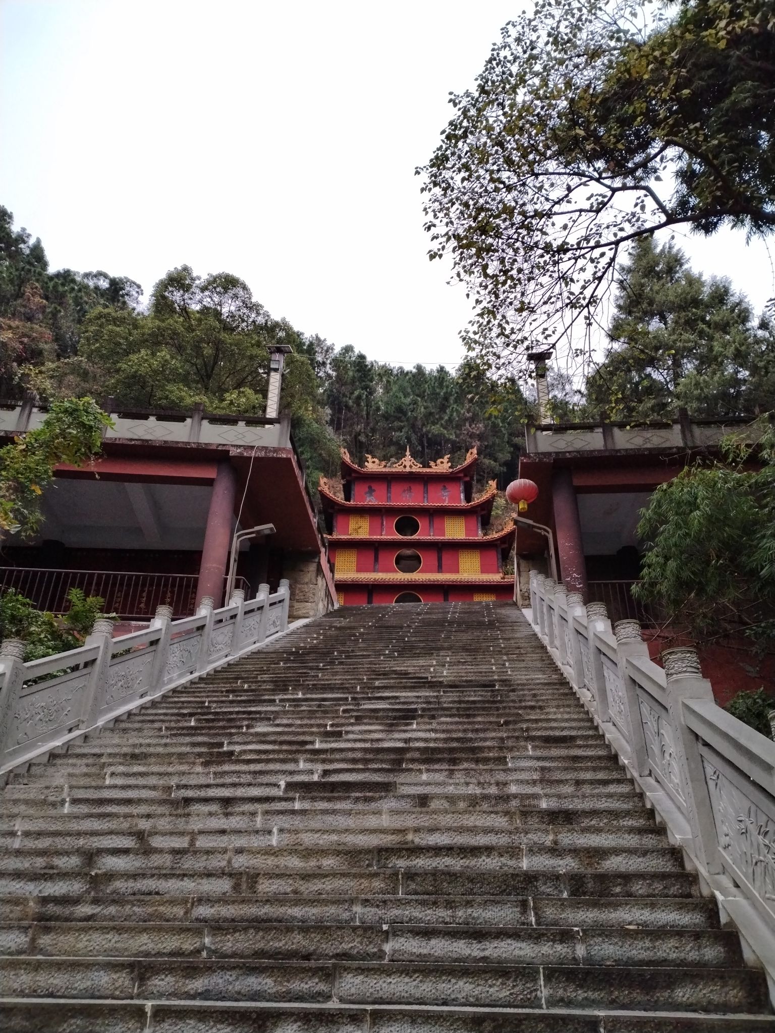 禹迹山大佛风景区旅行图片 2