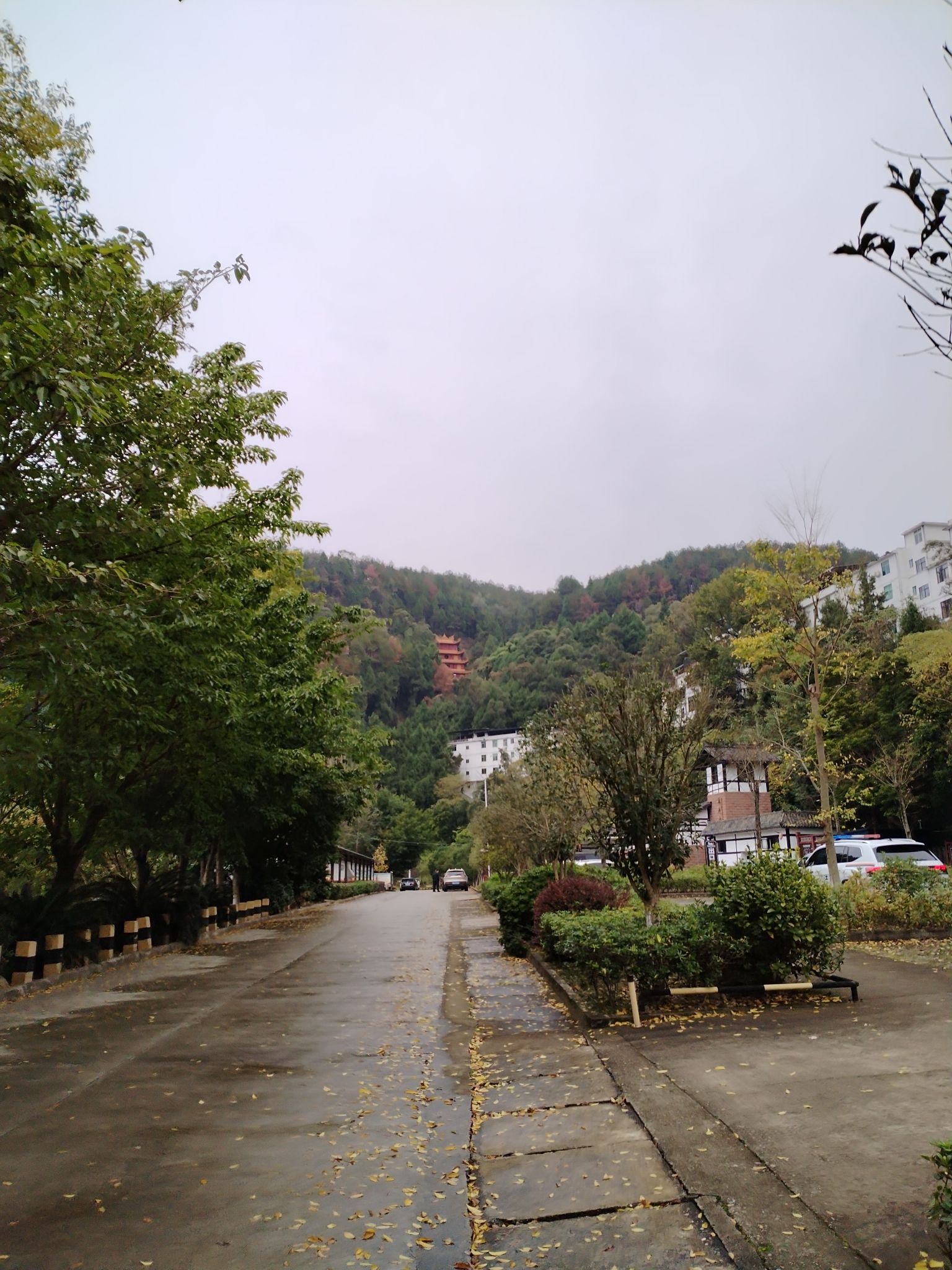 禹迹山大佛风景区旅行图片 1
