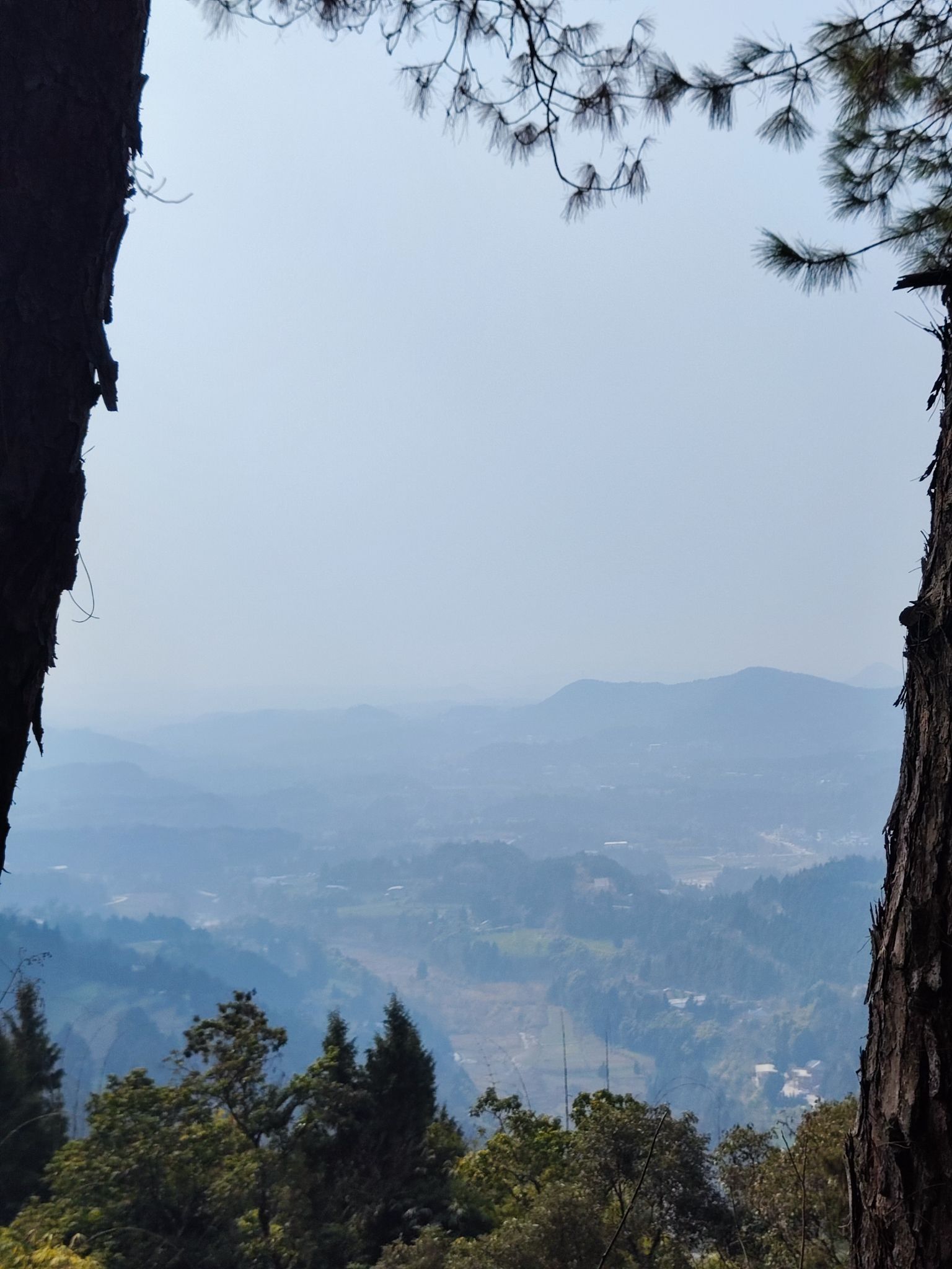 禹迹山大佛风景区旅行图片 1