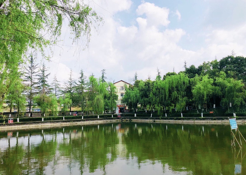 西月湖公园旅行图片 1
