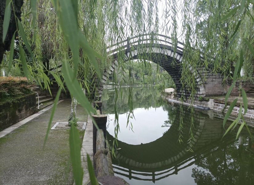 西月湖公园旅行图片 3