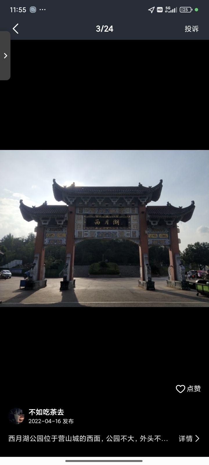 西月湖公园旅行图片 2