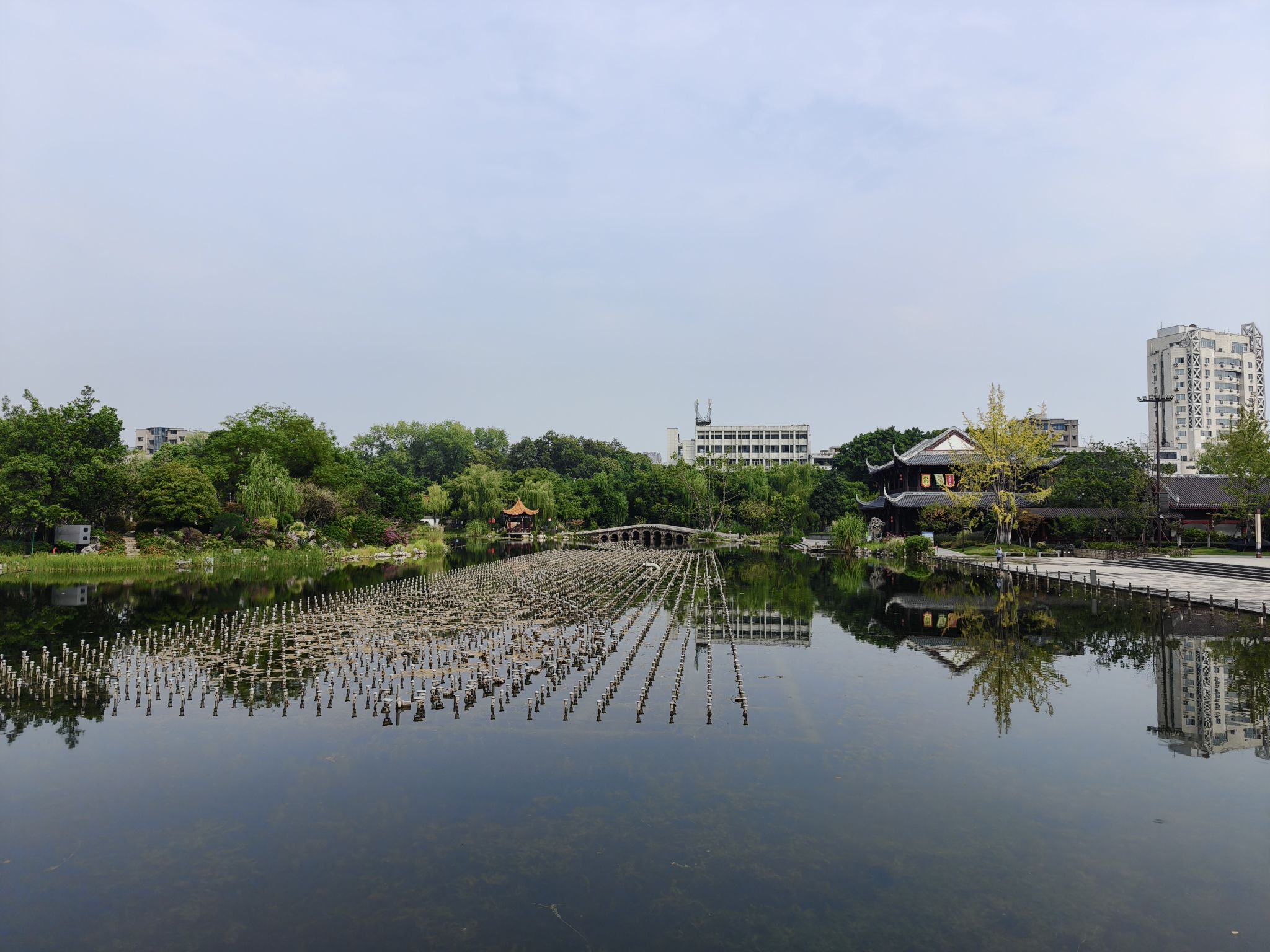 南充市北湖公园旅行图片 3