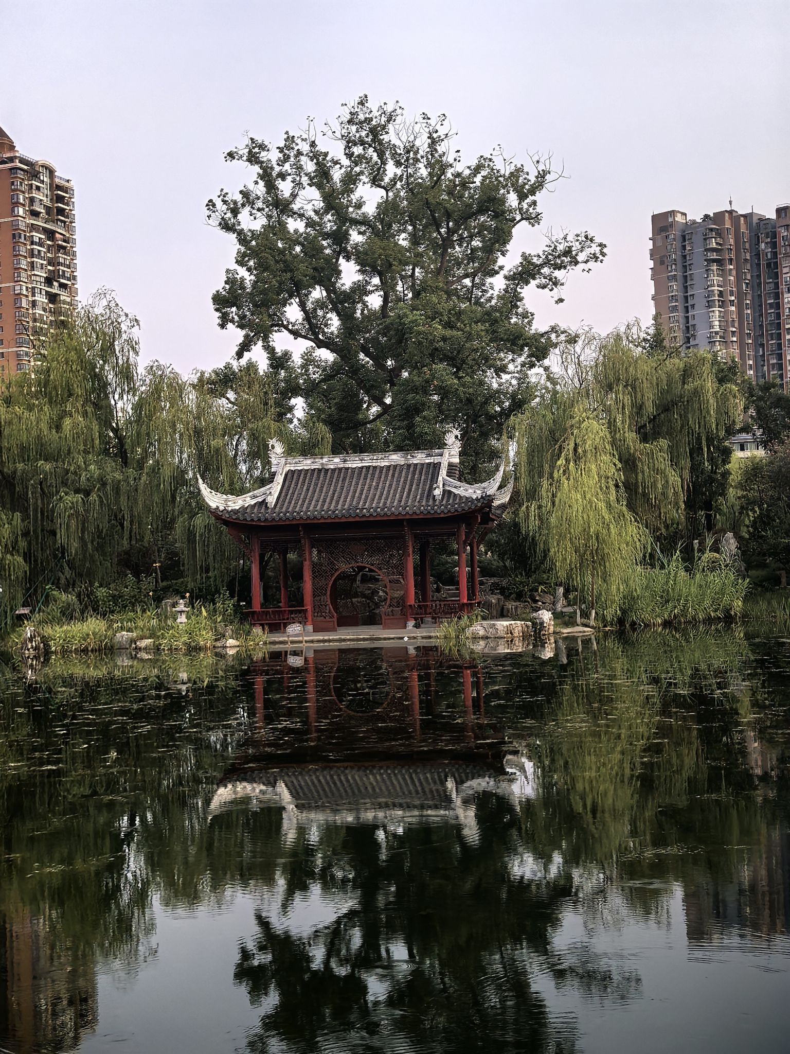 南充市北湖公园旅行图片 3