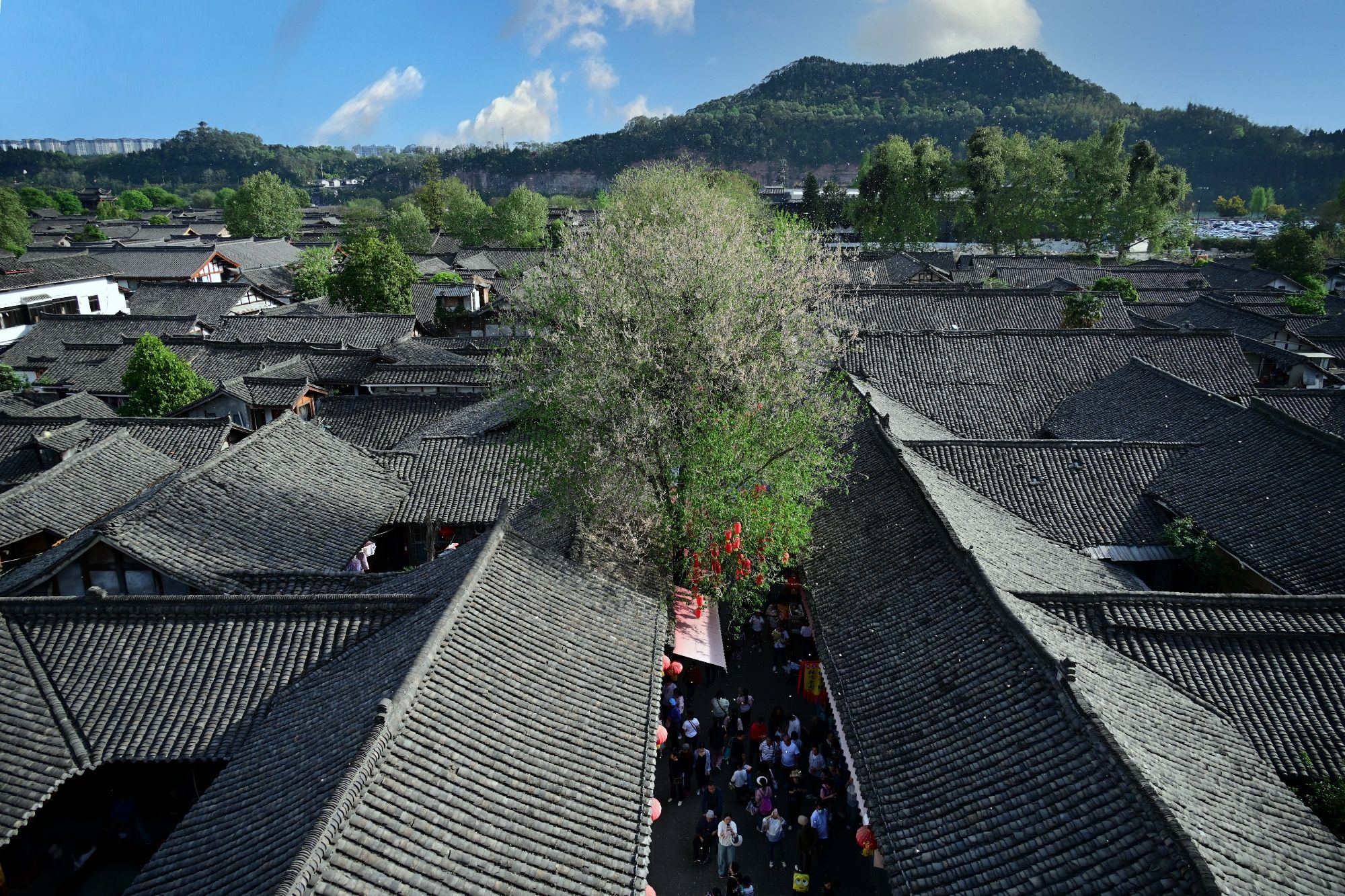 阆中古城旅行图片 2