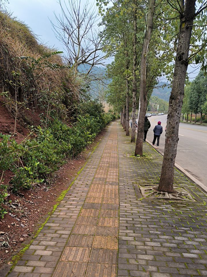 凌云山风景区旅行图片 2
