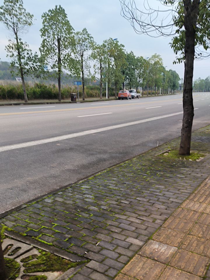 凌云山风景区旅行图片 1