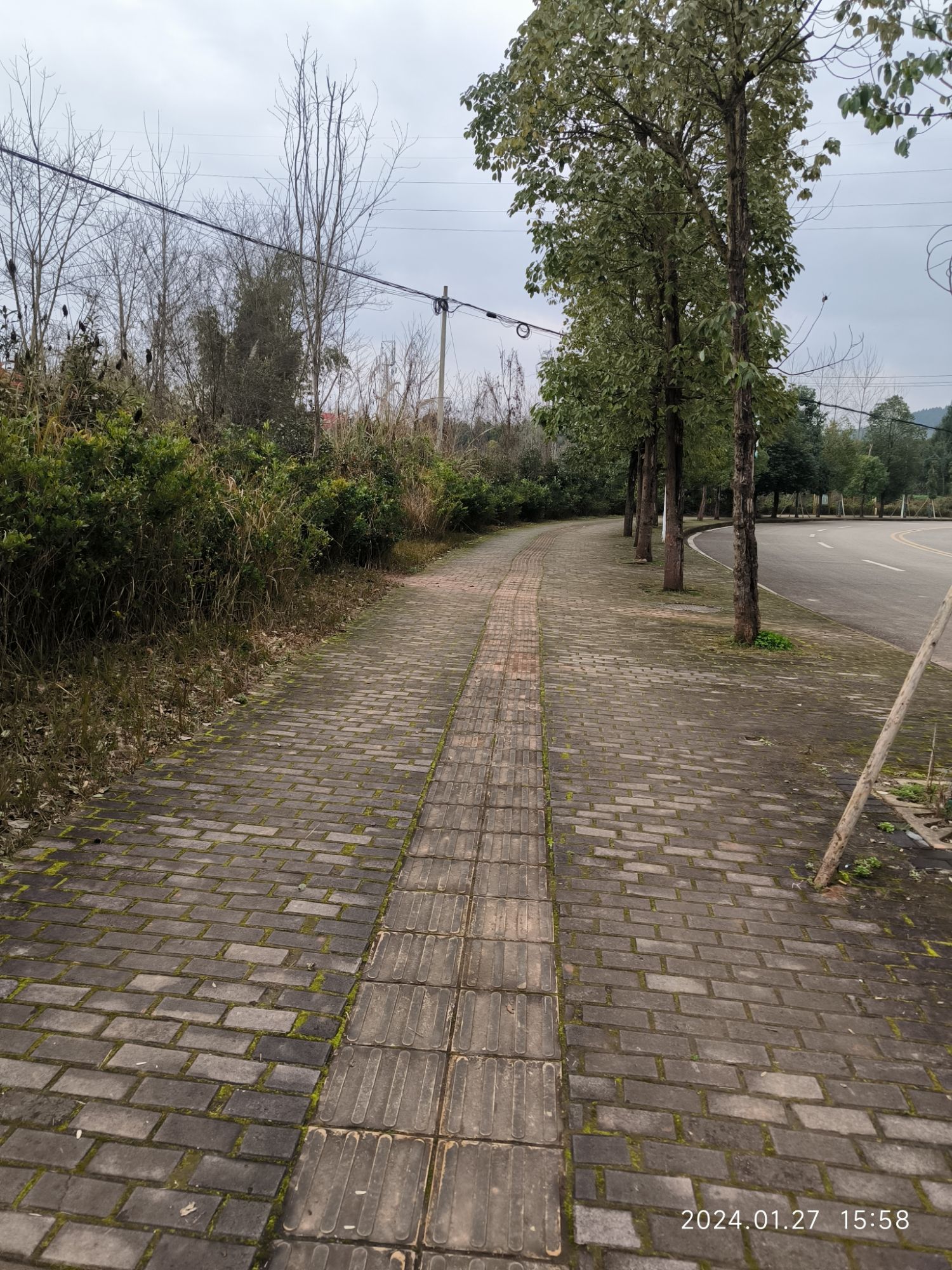凌云山风景区旅行图片 3