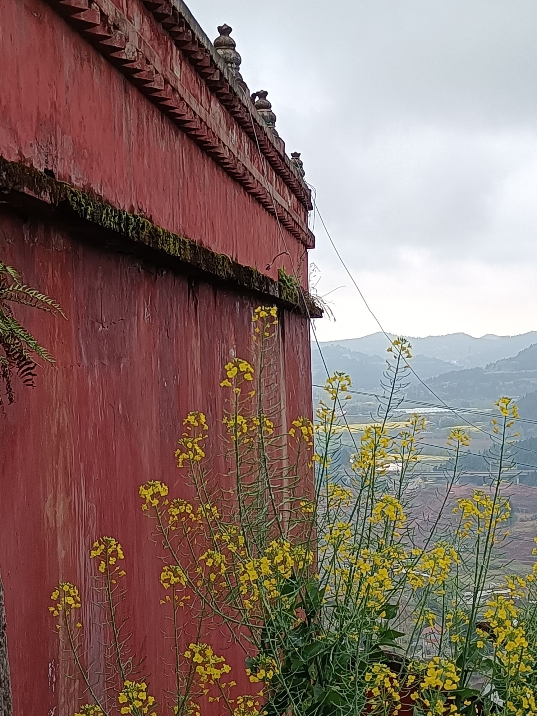 老君山旅行图片 2