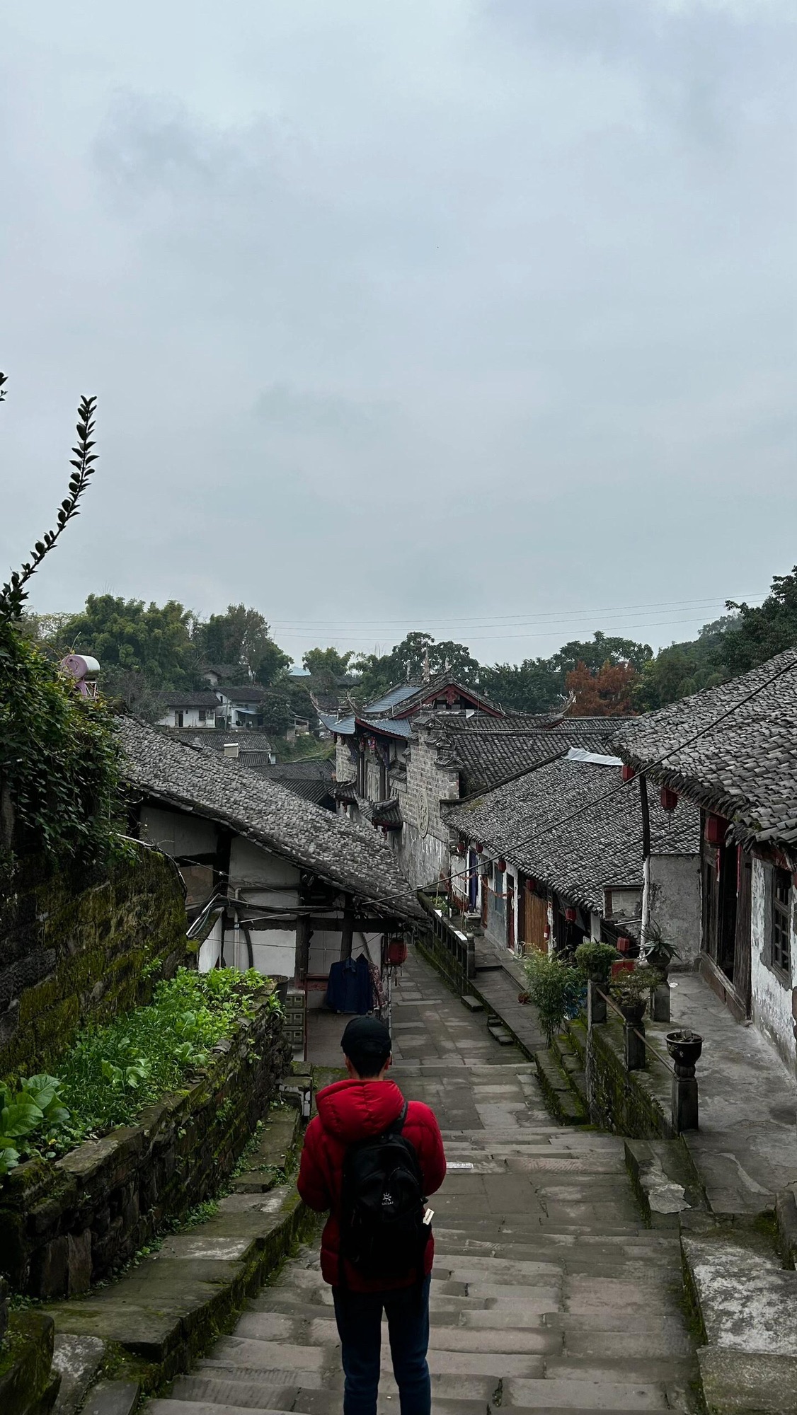 嘉陵第一桑梓旅行图片 3