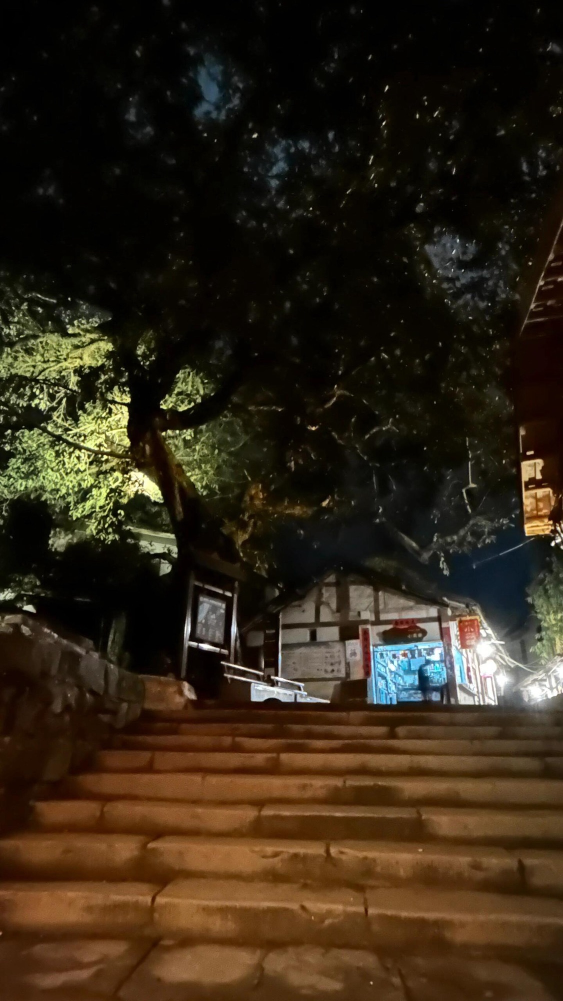 嘉陵第一桑梓旅行图片 2