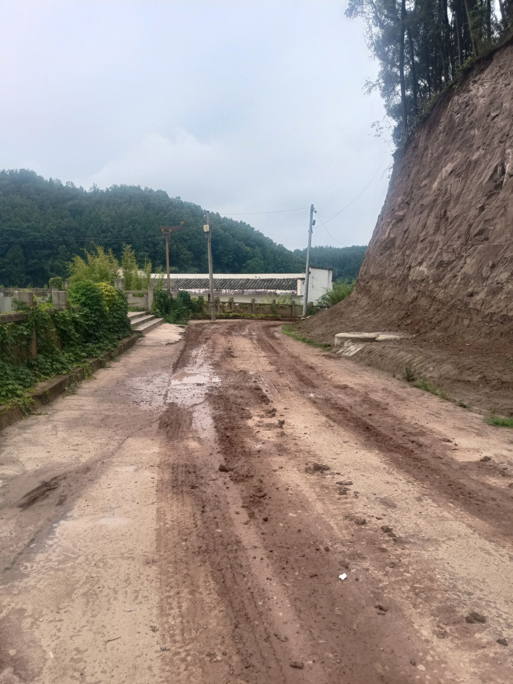 四川西充青龙湖国家湿地公园旅行图片 2