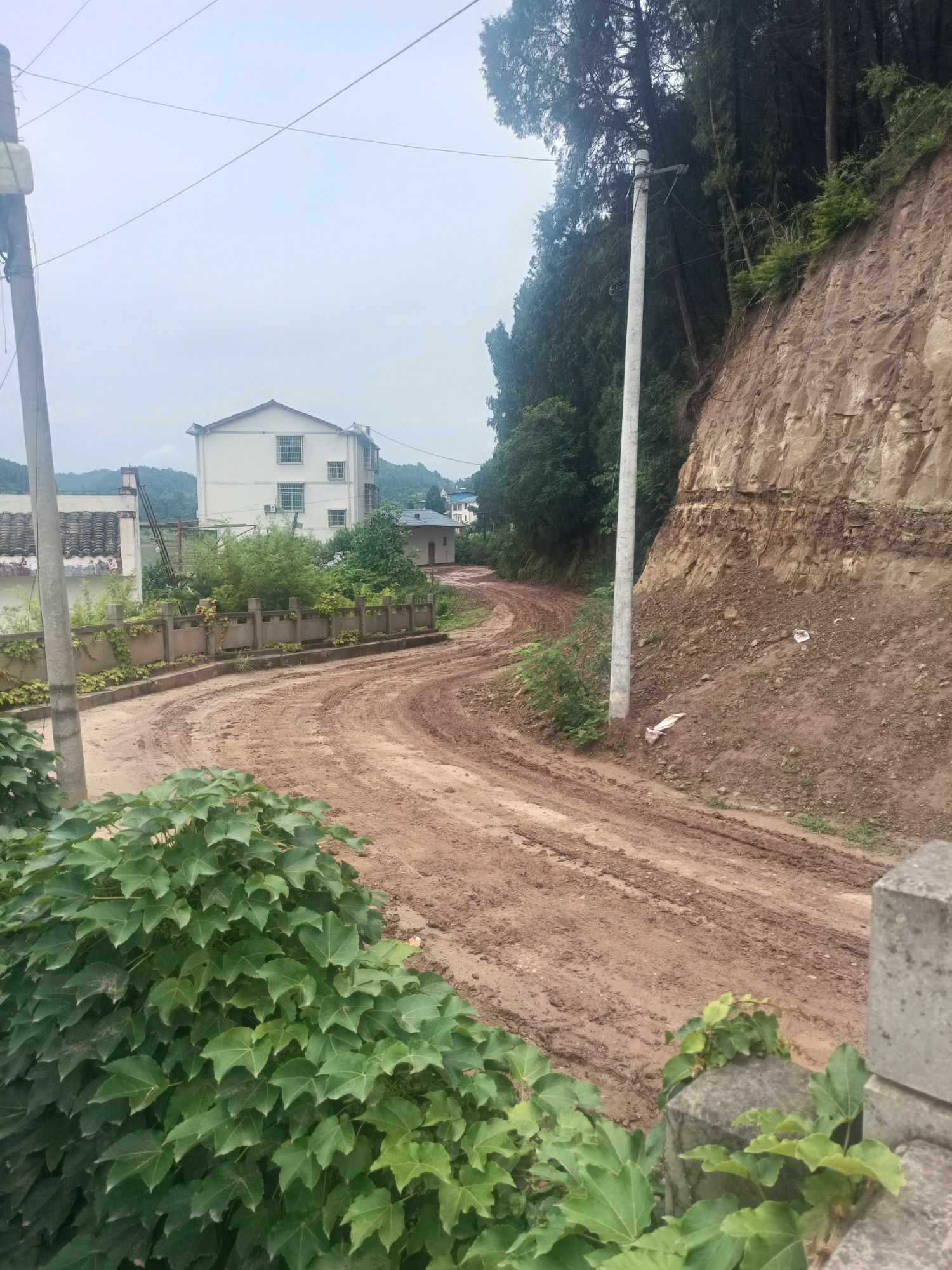 四川西充青龙湖国家湿地公园旅行图片 1