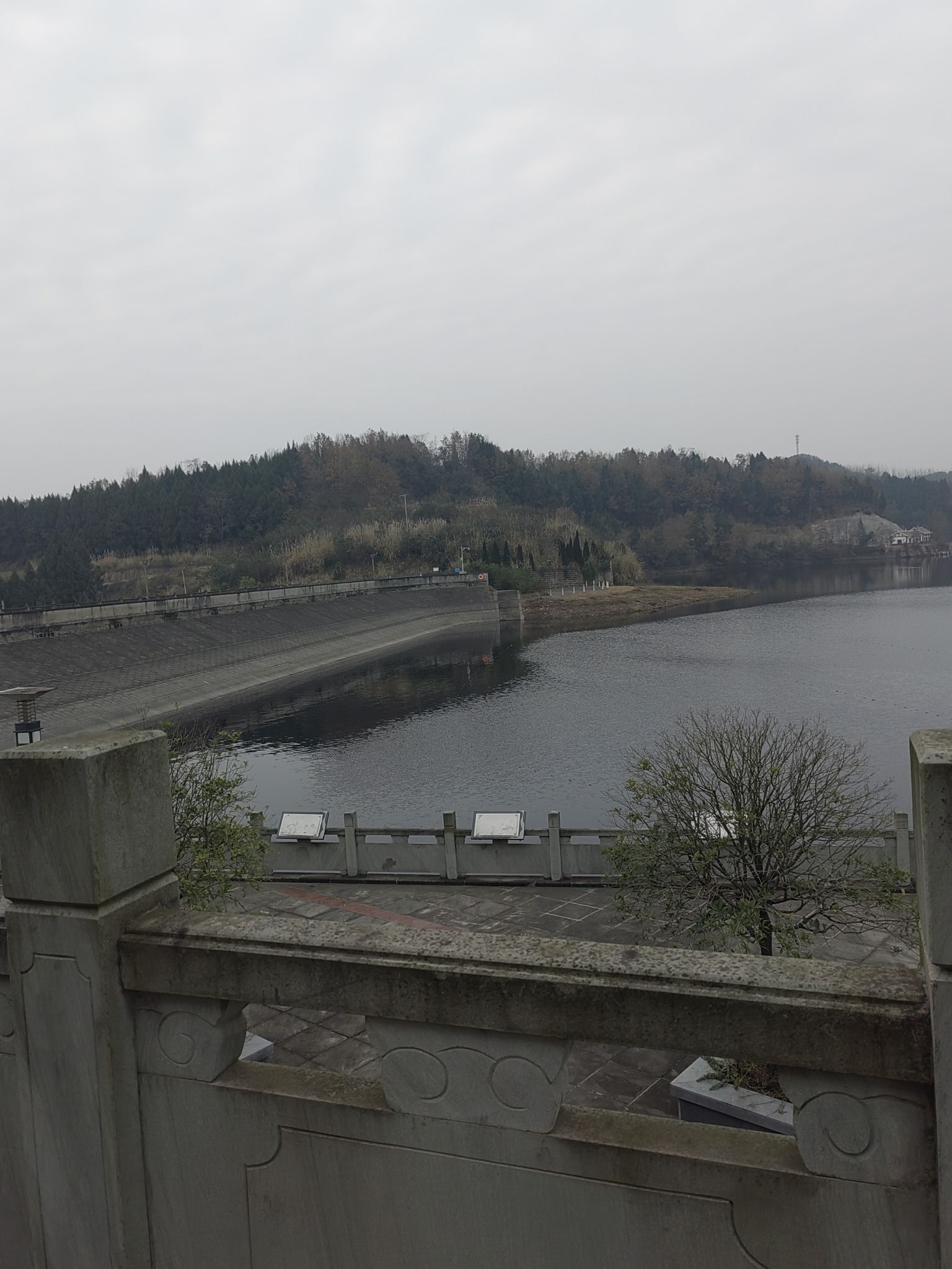 四川西充青龙湖国家湿地公园旅行图片 2
