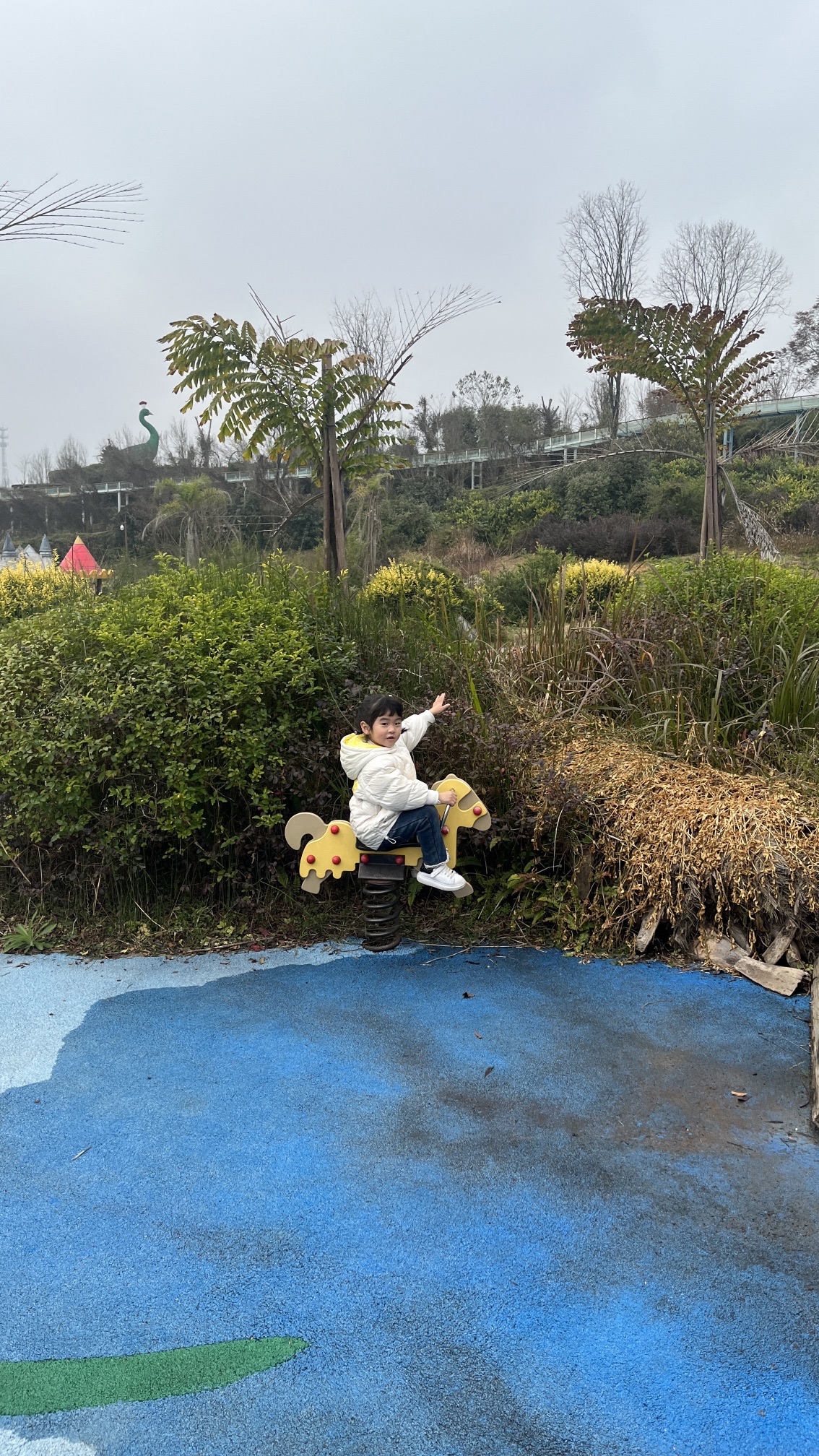 八尔湖旅游度假区旅行图片 3