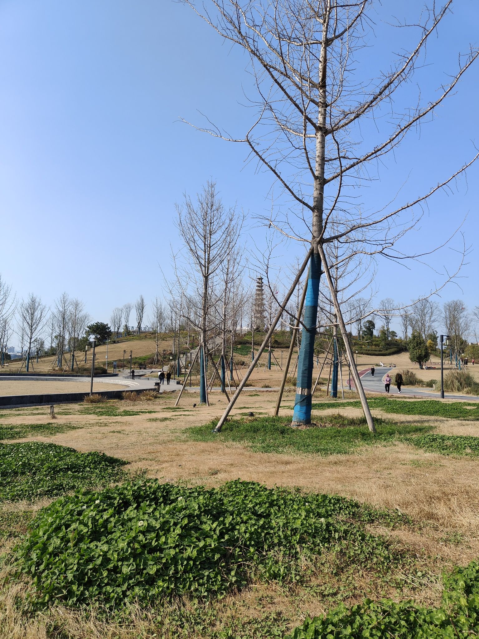 八尔湖旅游度假区旅行图片 2