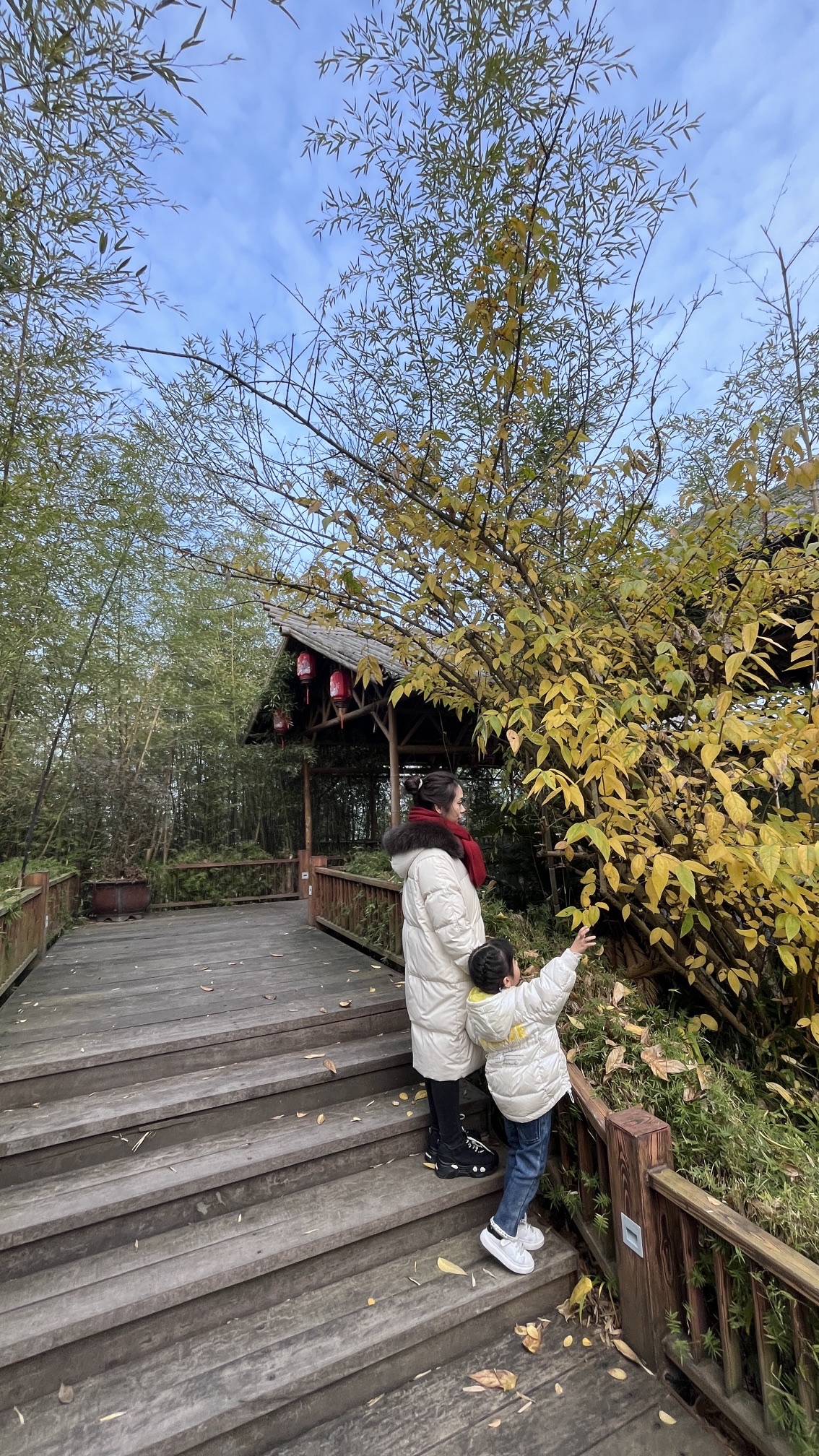八尔湖旅游度假区旅行图片 2