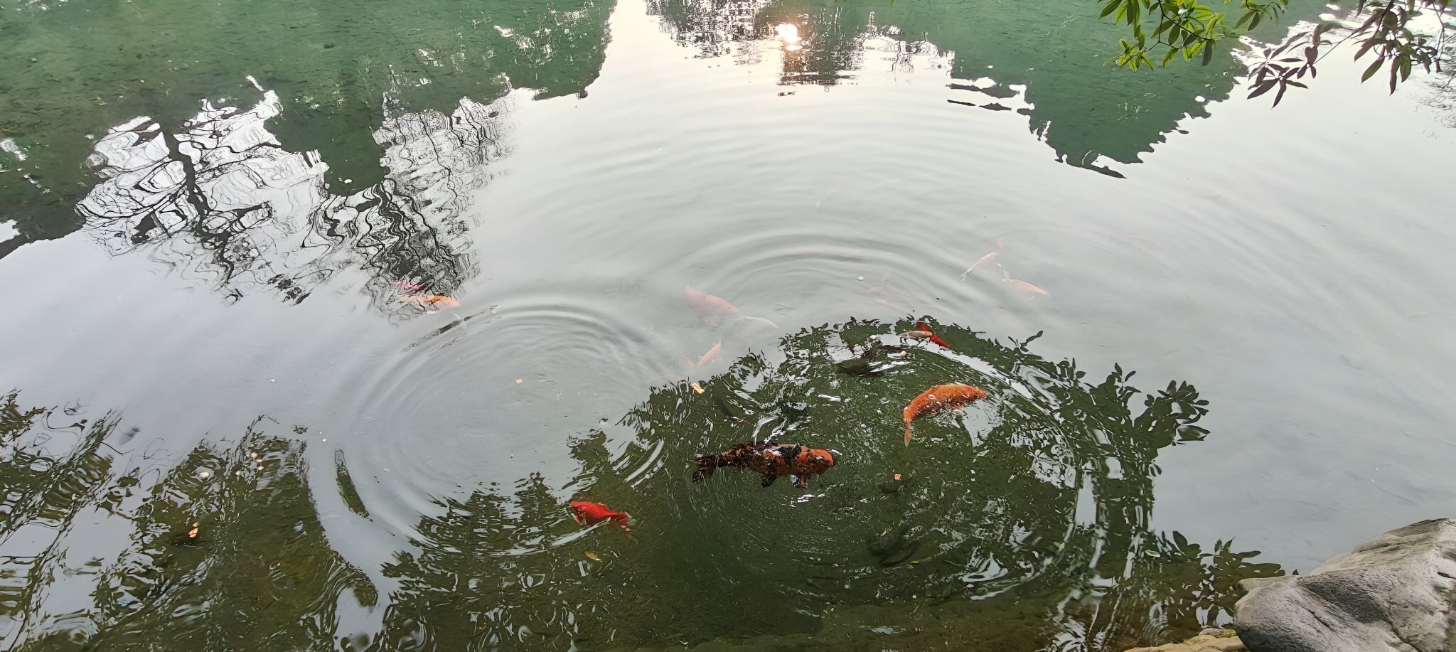 八尔湖旅游度假区旅行图片 3