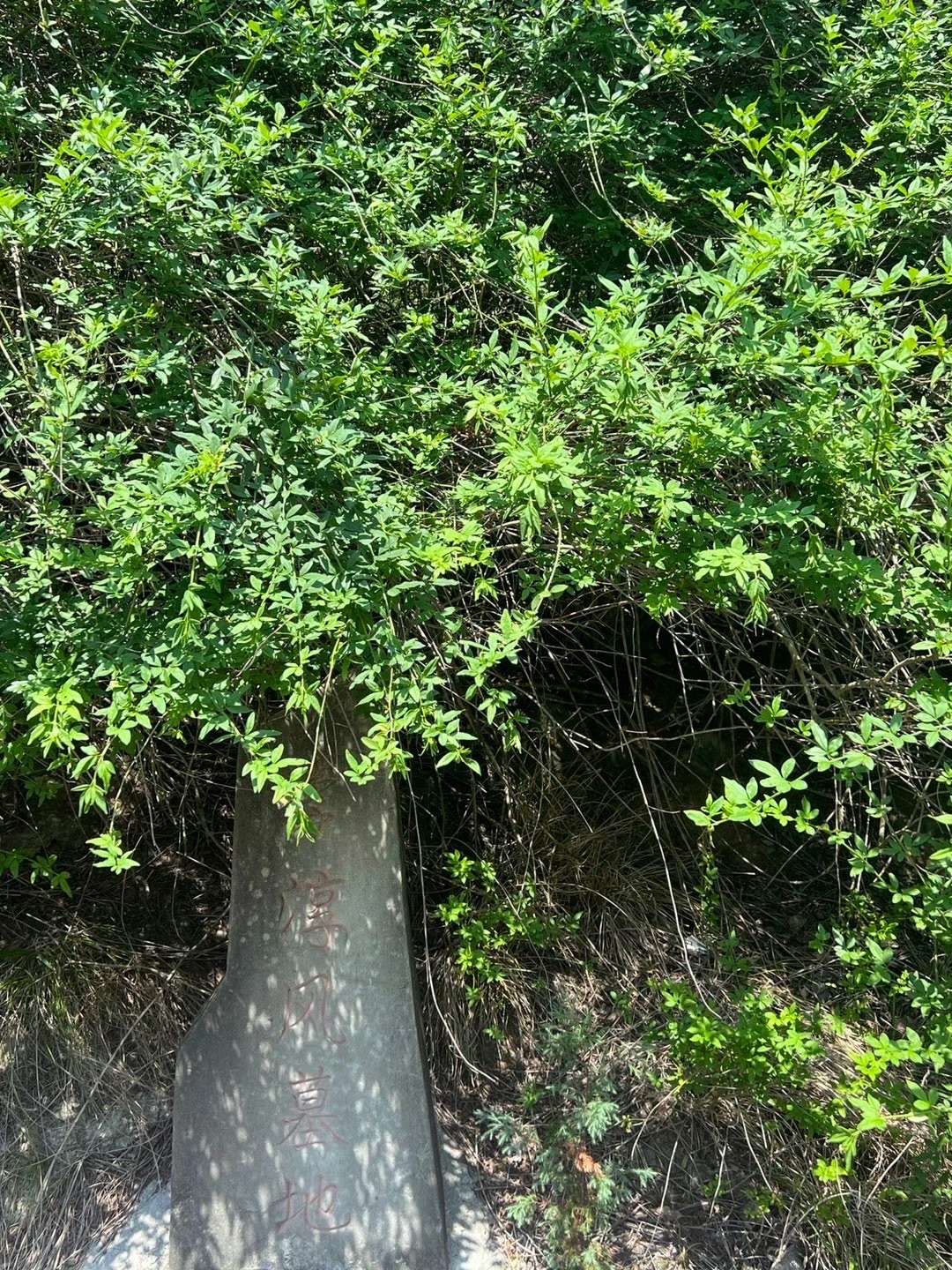 天宫院风水文化景区旅行图片 2