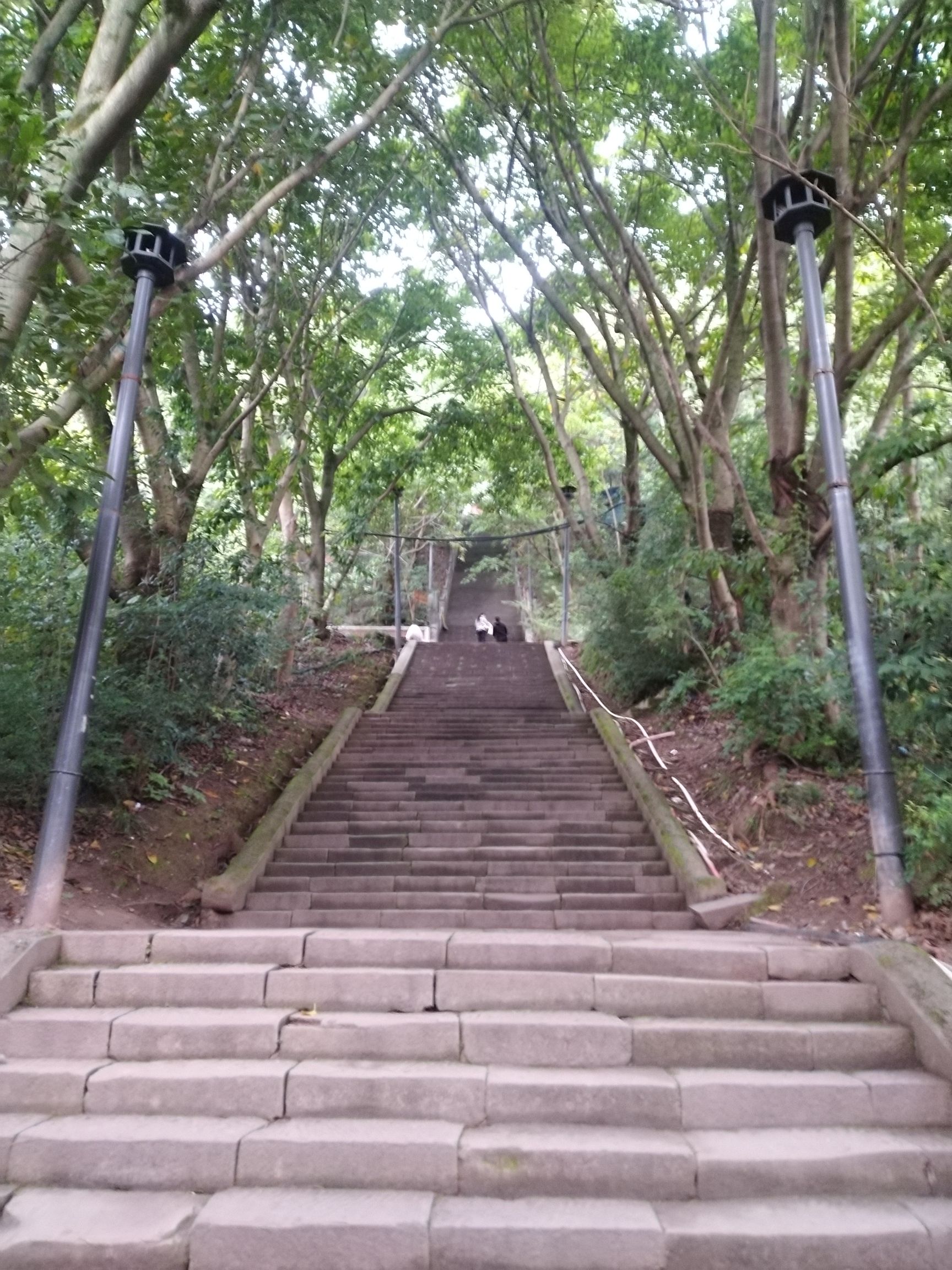 化凤山森林公园旅行图片 2