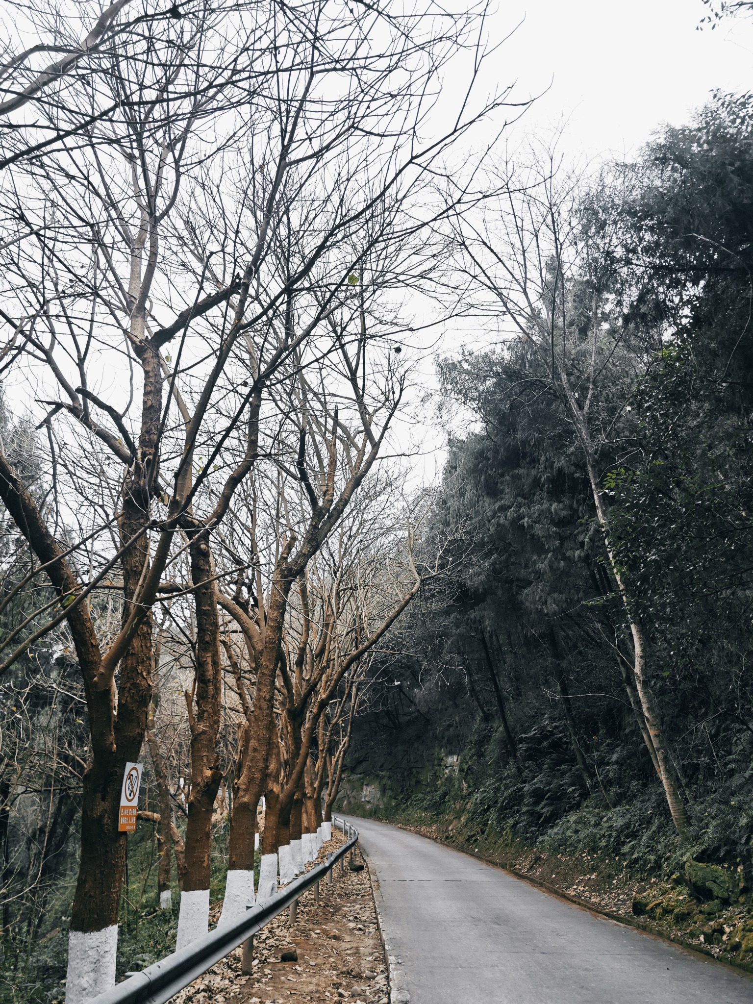 火峰山公园旅行图片 2