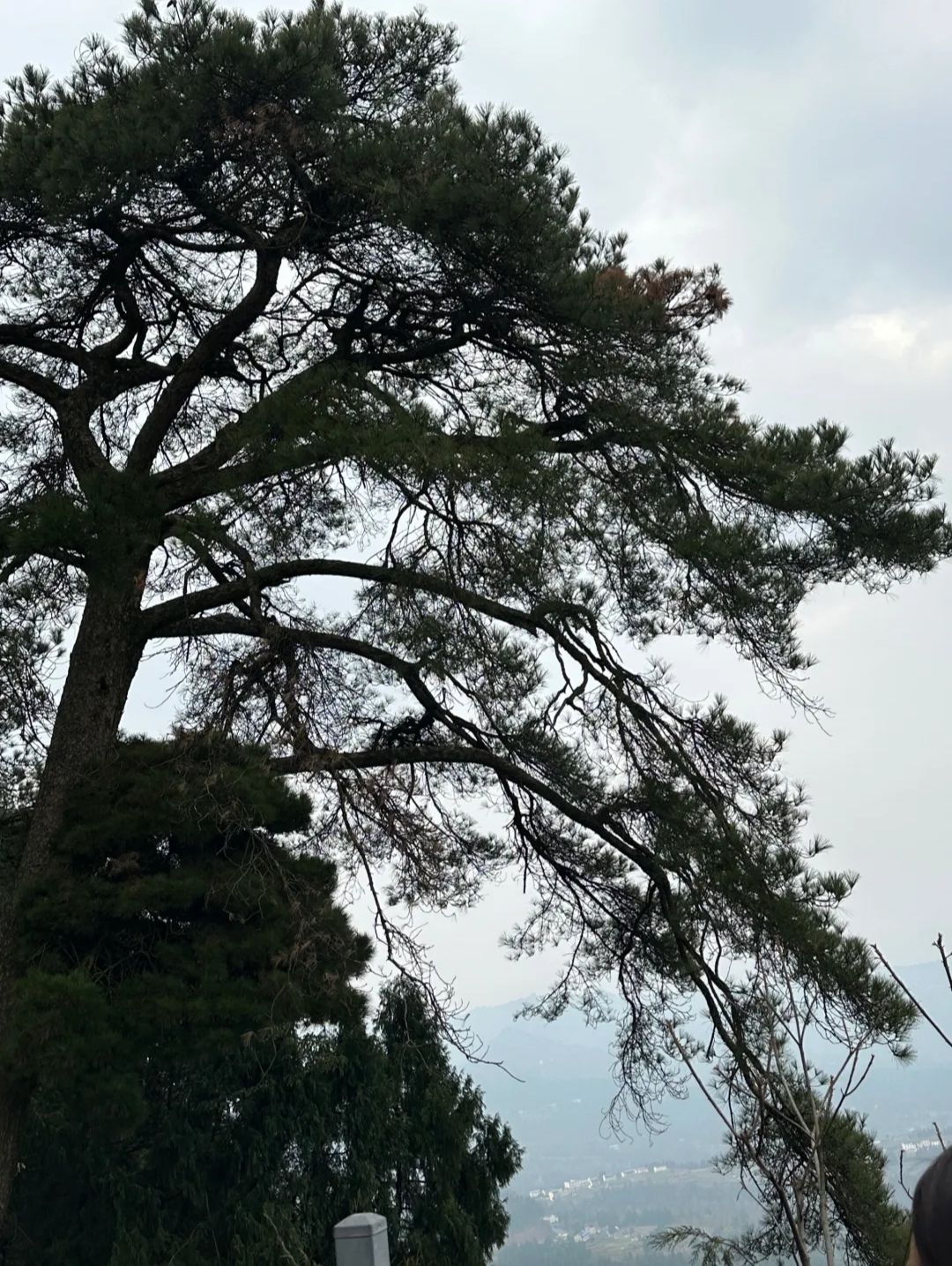 太蓬山风景区旅行图片 1