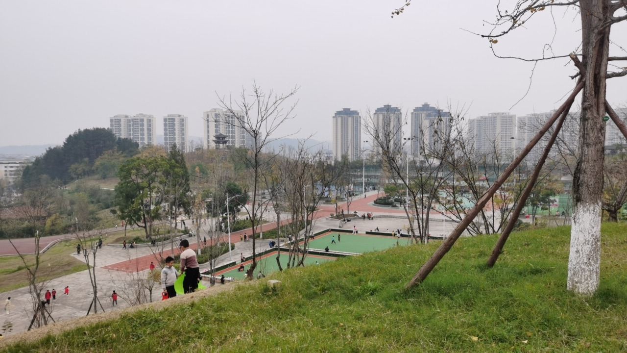 金鱼山公园旅行图片 1