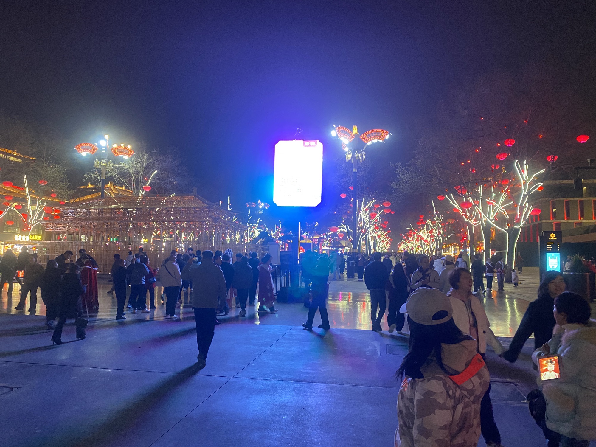 白塔公园旅行图片 1
