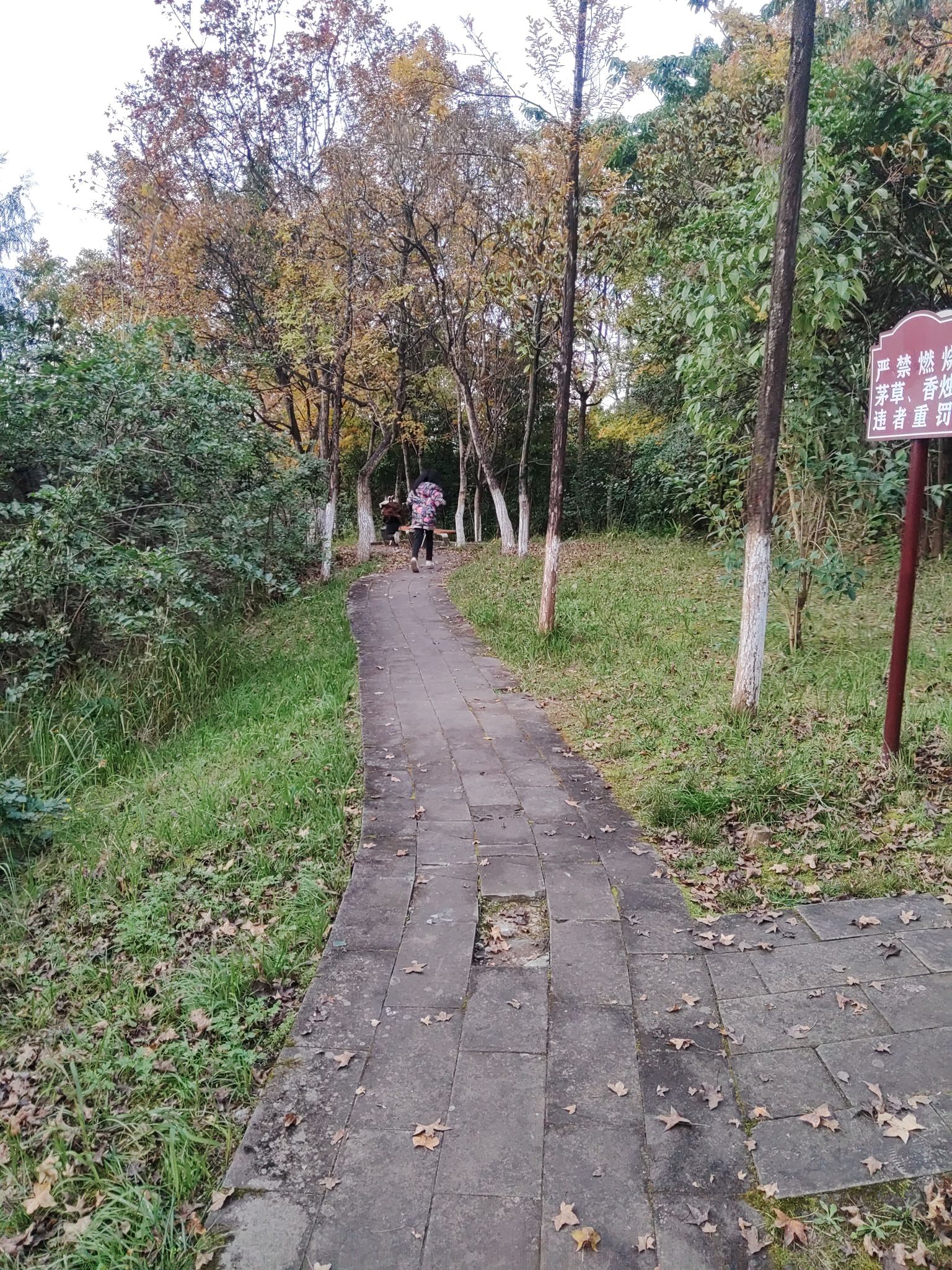 白塔公园旅行图片 3