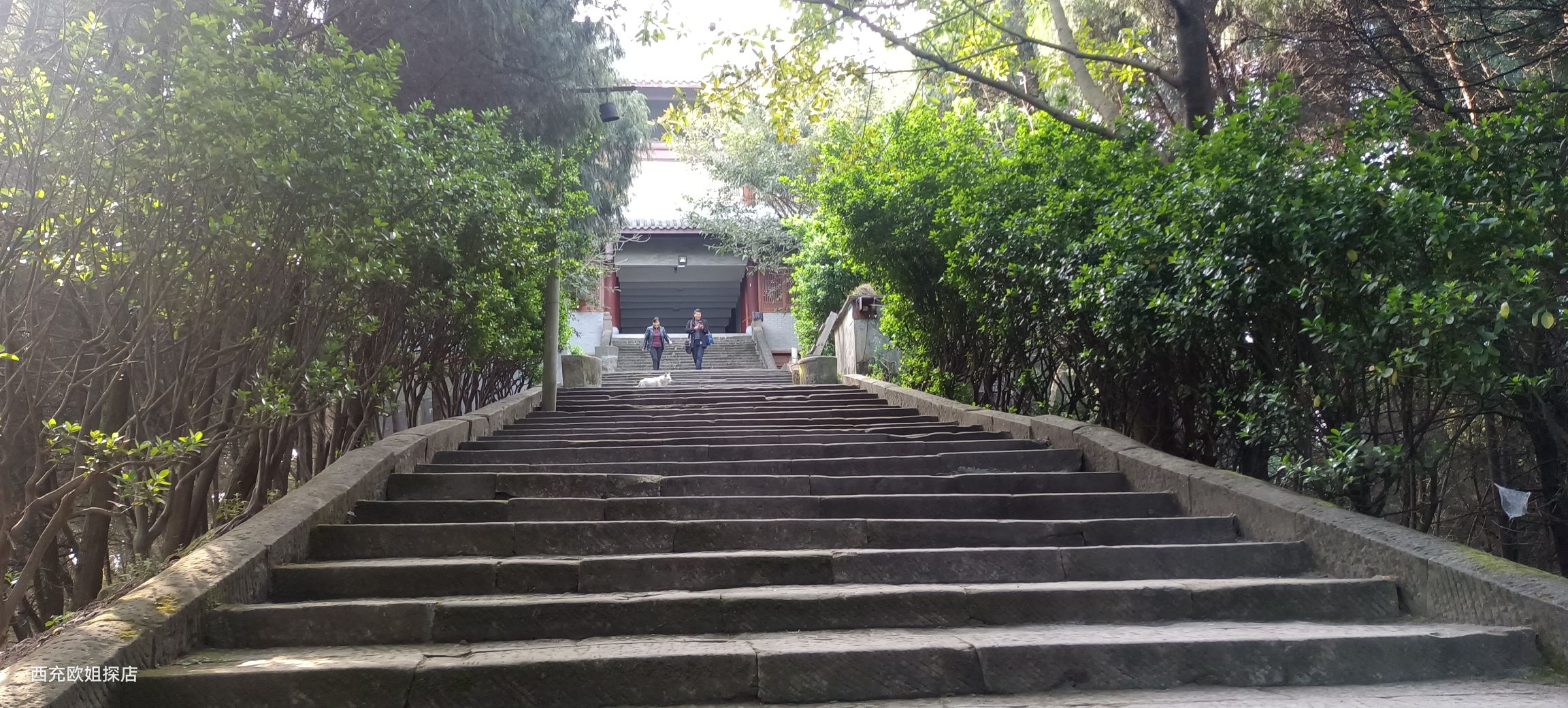 万年山风景区旅行图片 1