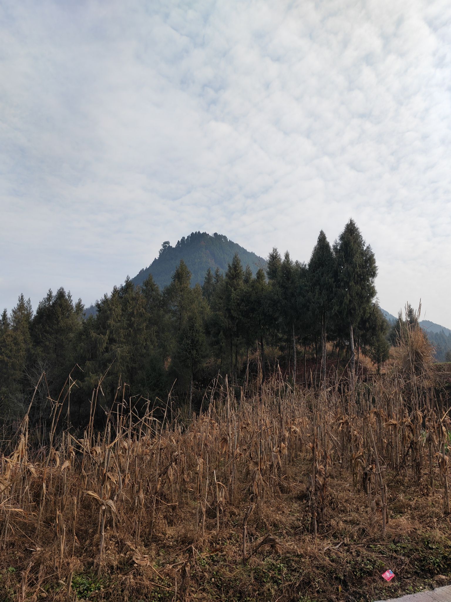 仙女山自然风景区旅行图片 1