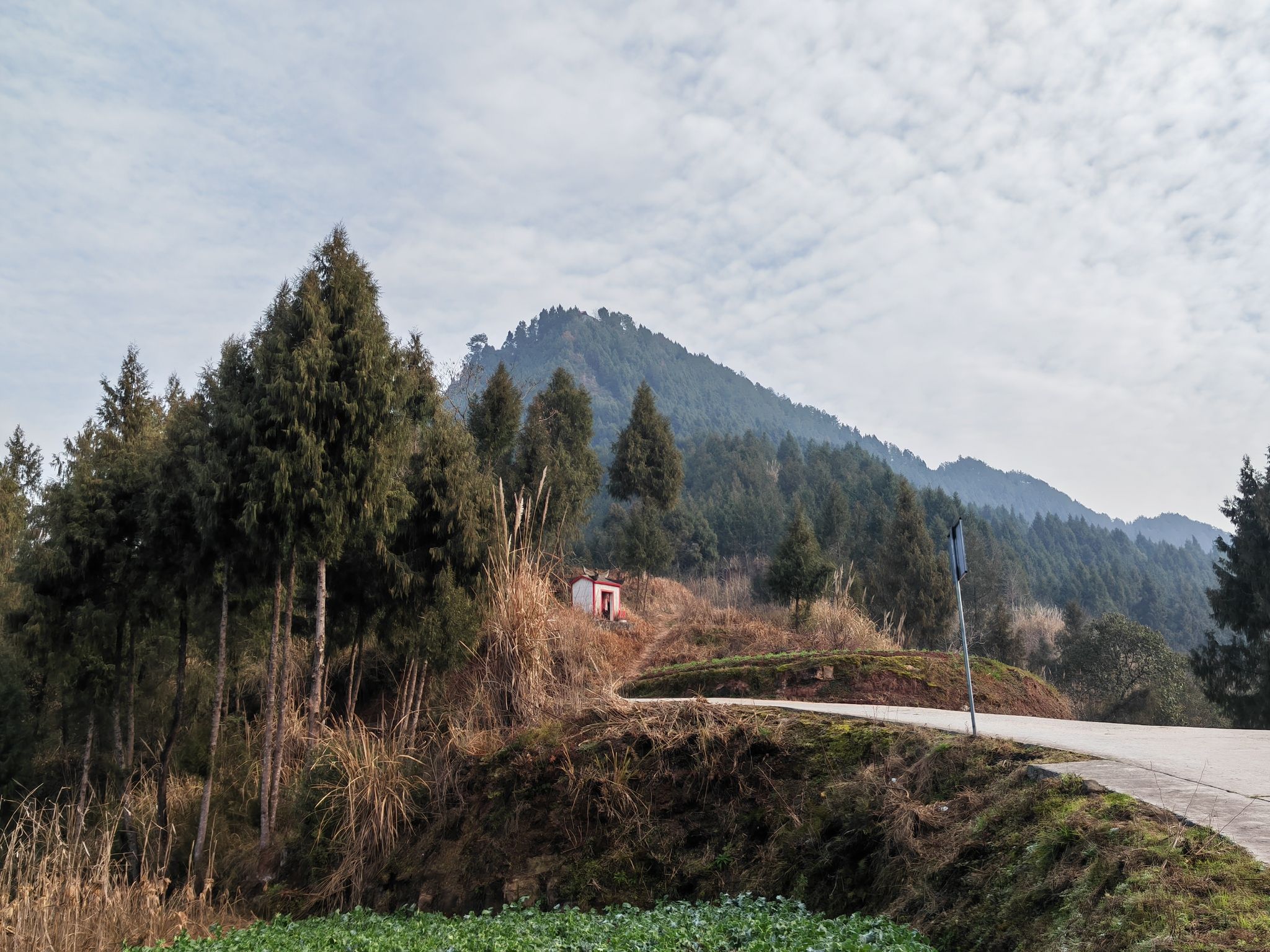 仙女山自然风景区旅行图片 2