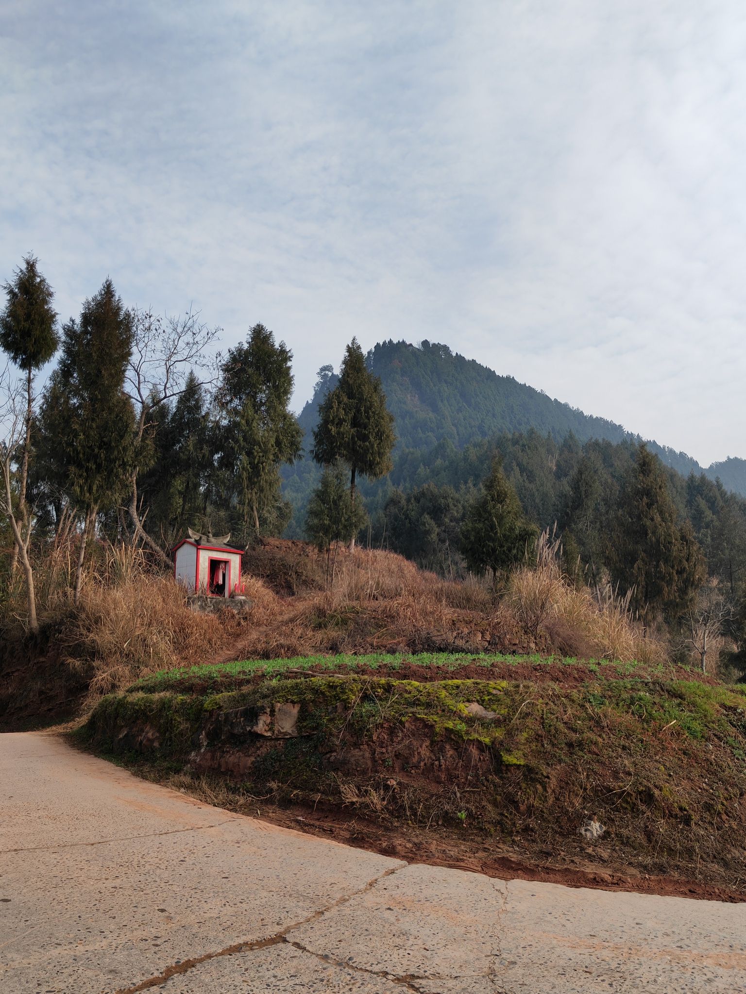 仙女山自然风景区旅行图片 3