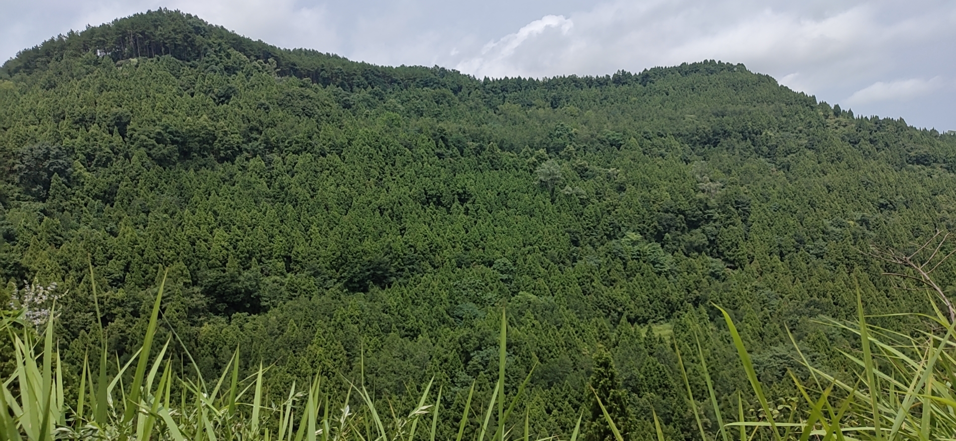 白云山旅行图片 3