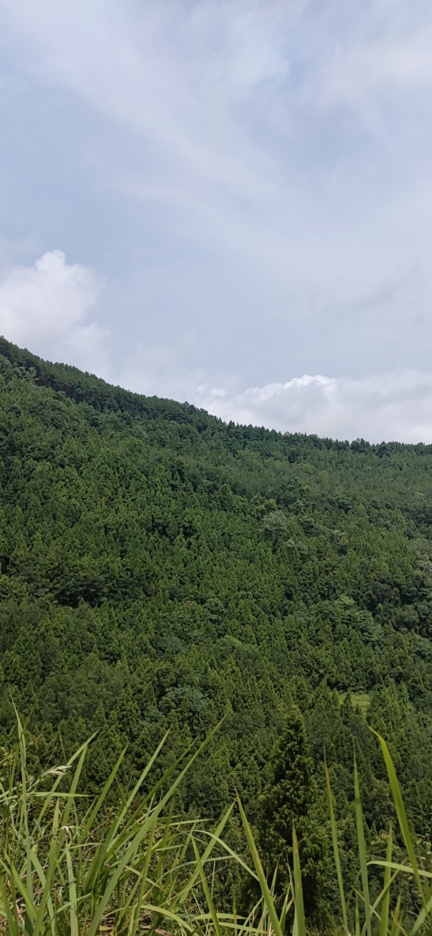 白云山旅行图片 2