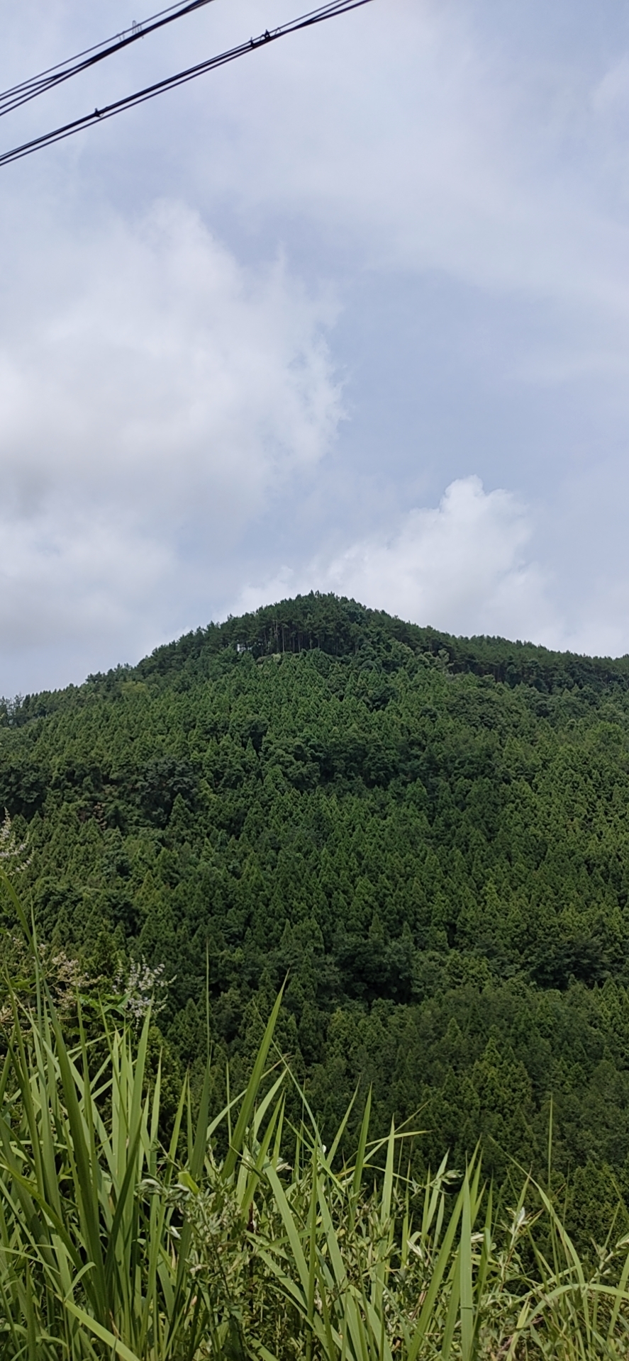 白云山旅行图片 1